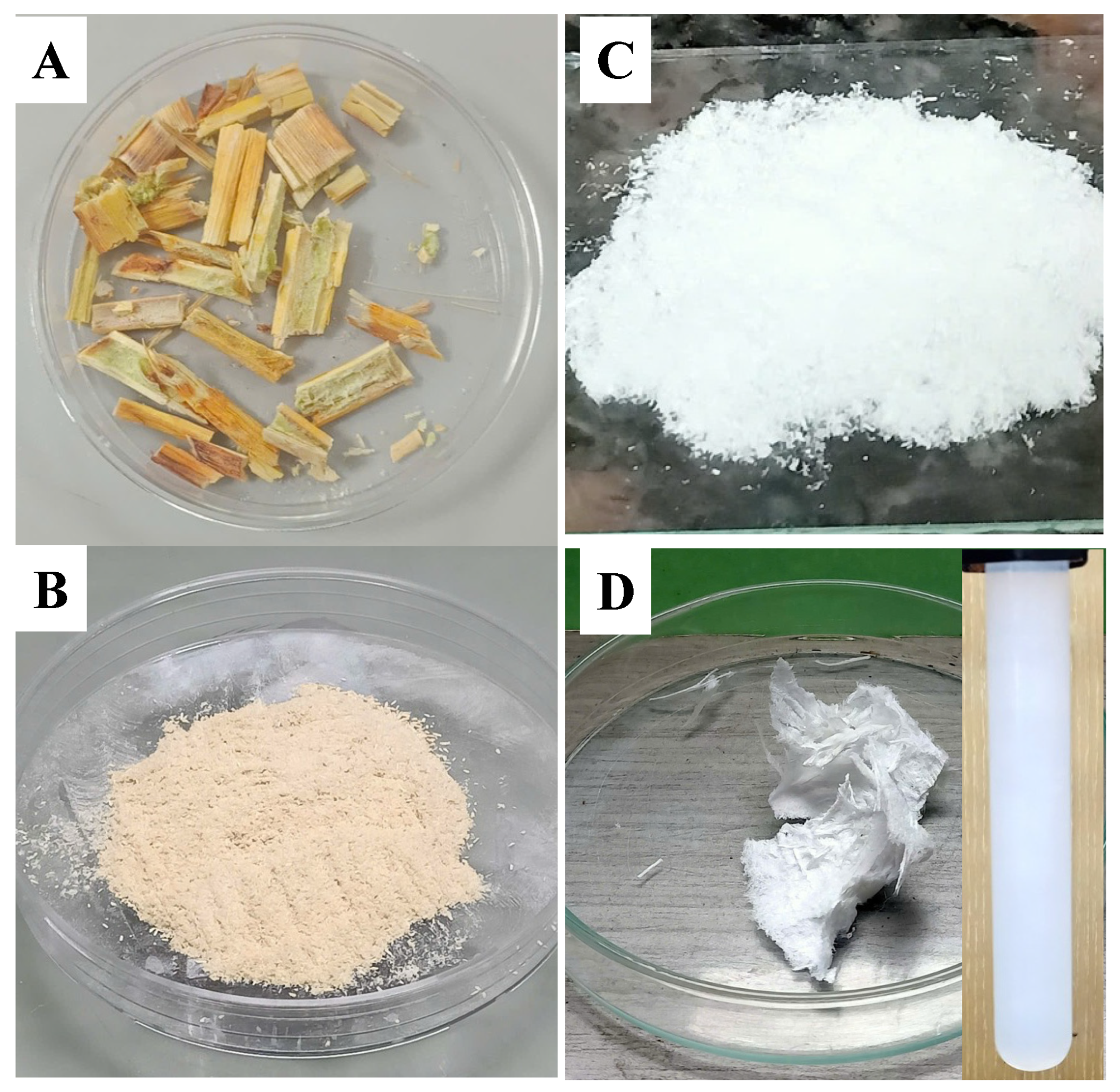 Polymers 17 02124 g001