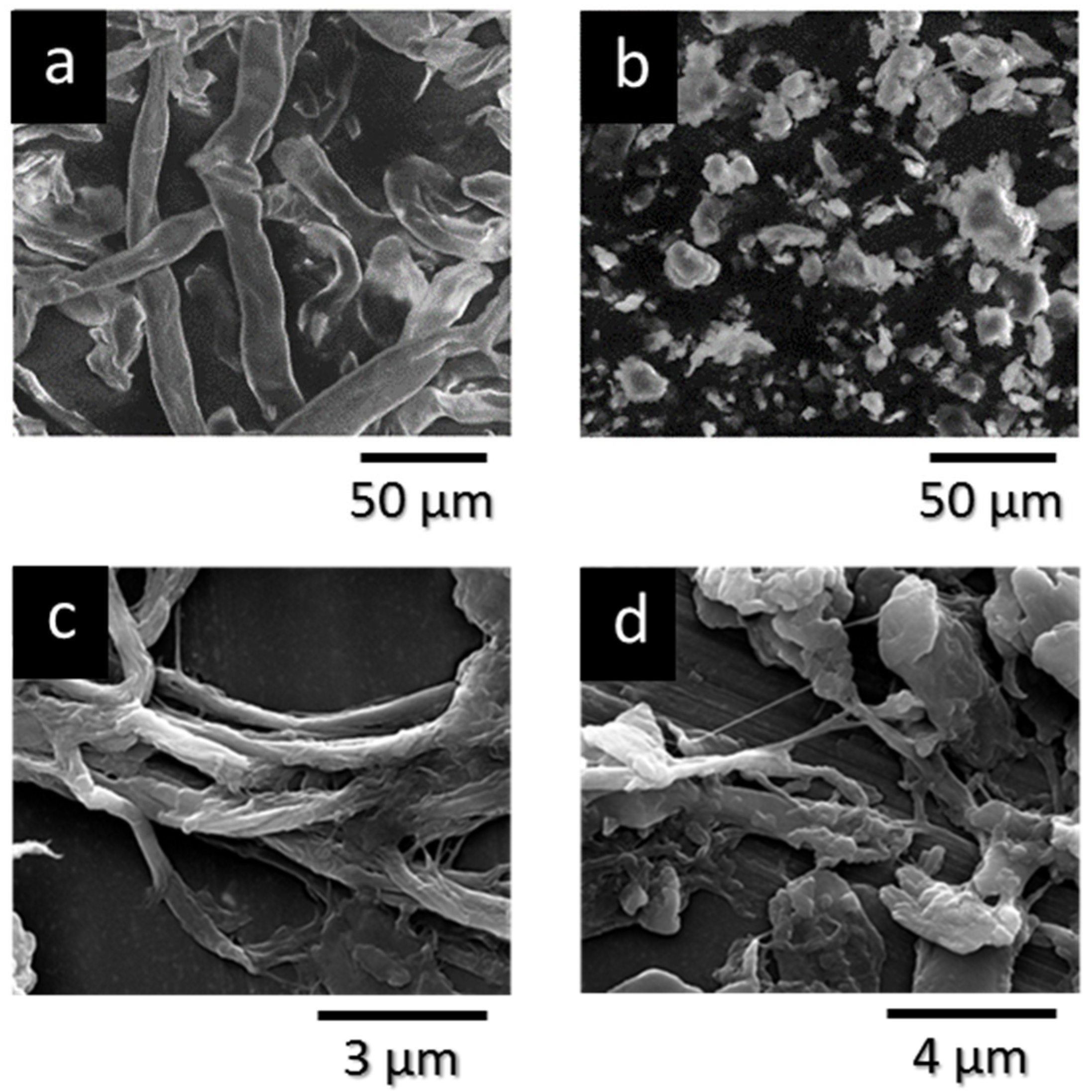 Polymers 17 02127 g001