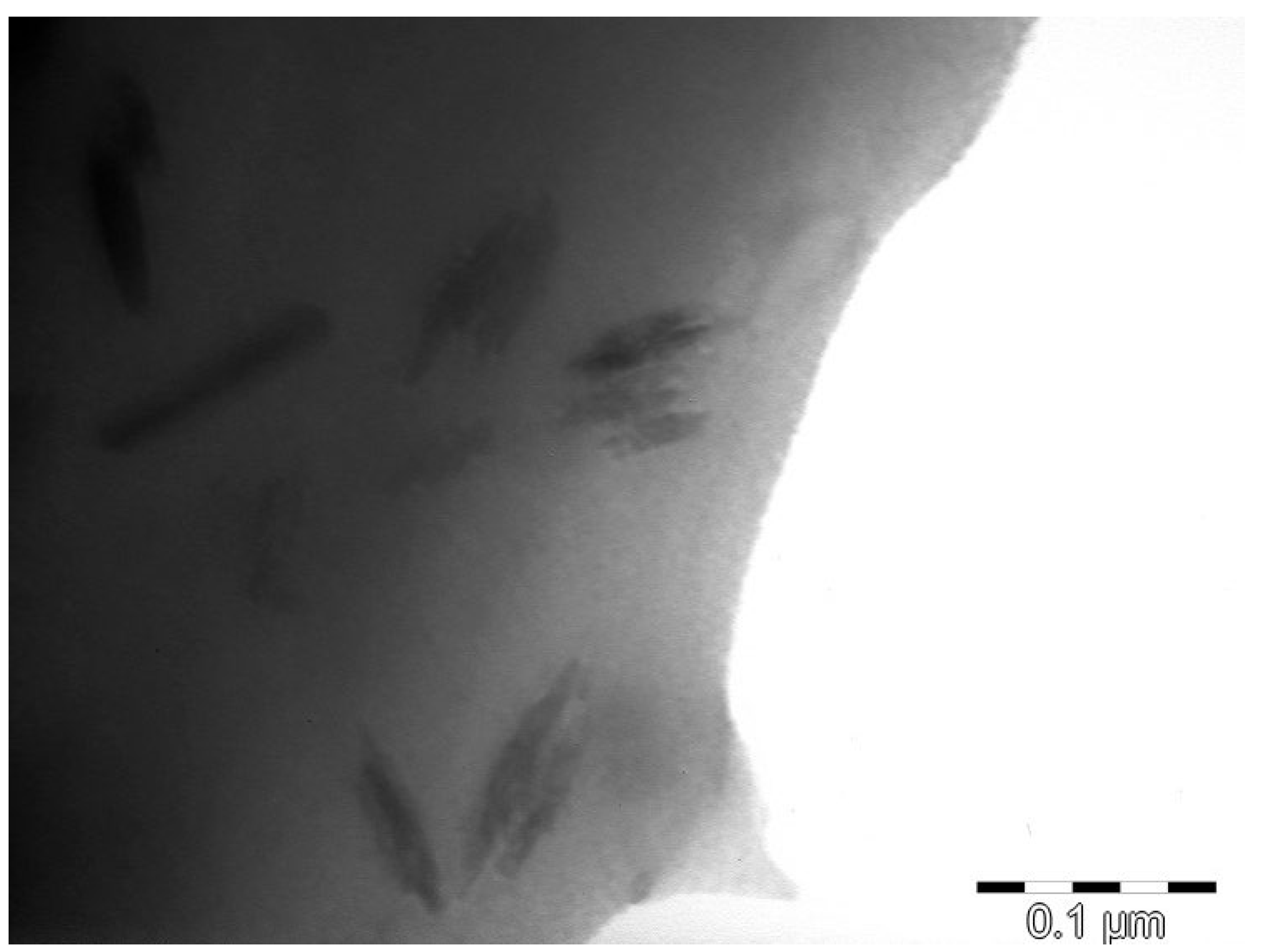 Polymers 17 02130 g012