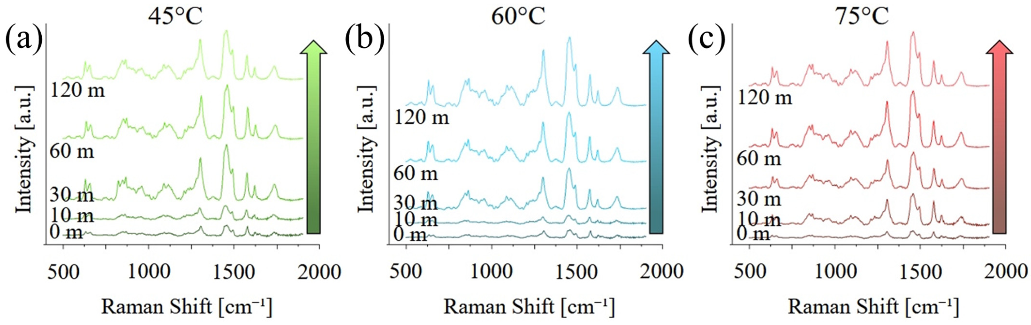 Polymers 17 02132 g004
