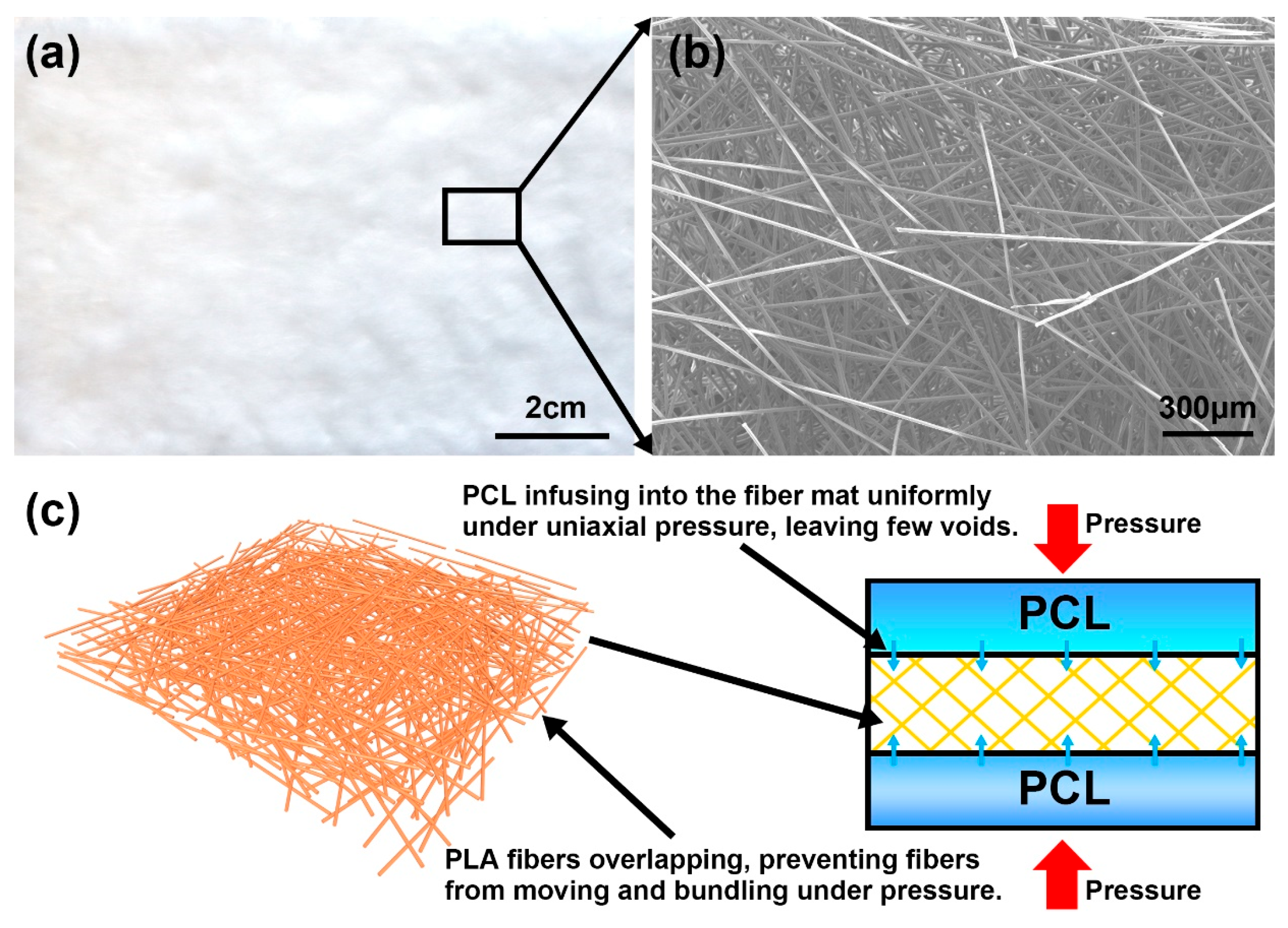 Polymers 17 02138 g004