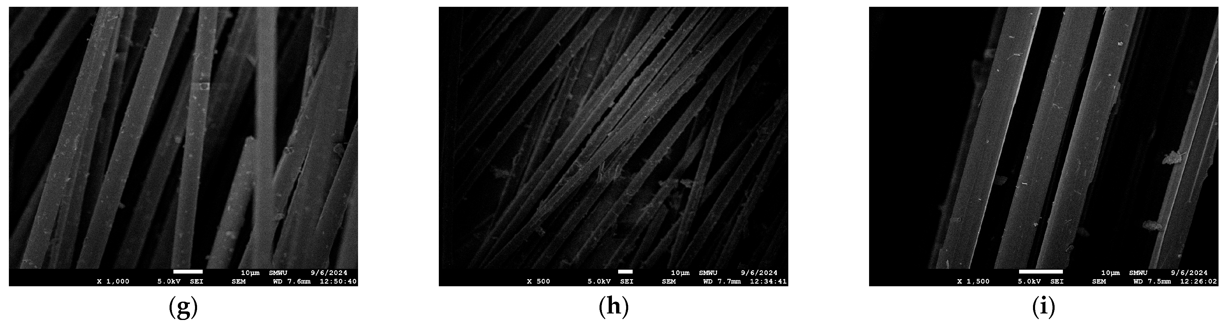 Polymers 17 02143 g007b