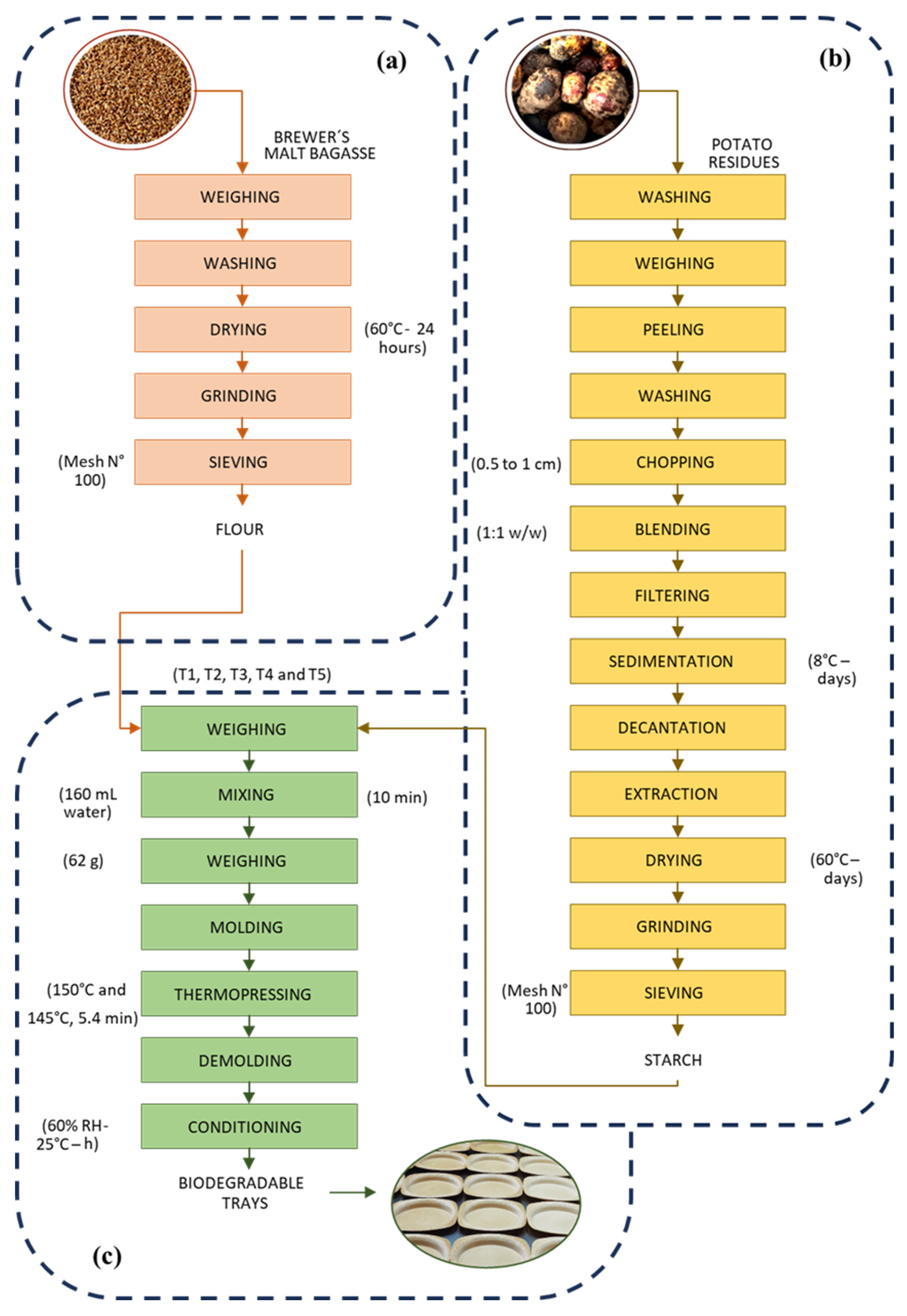 Polymers 17 02146 g001