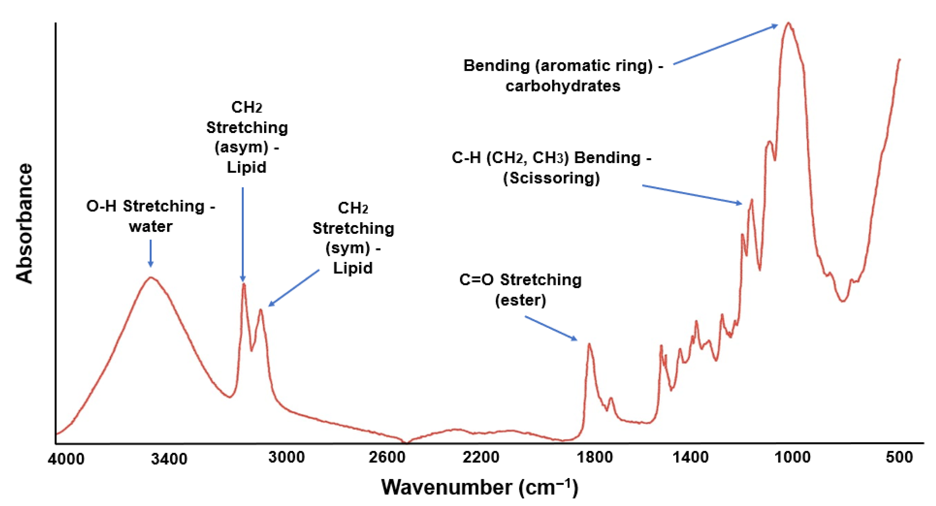 Polymers 17 02146 g003