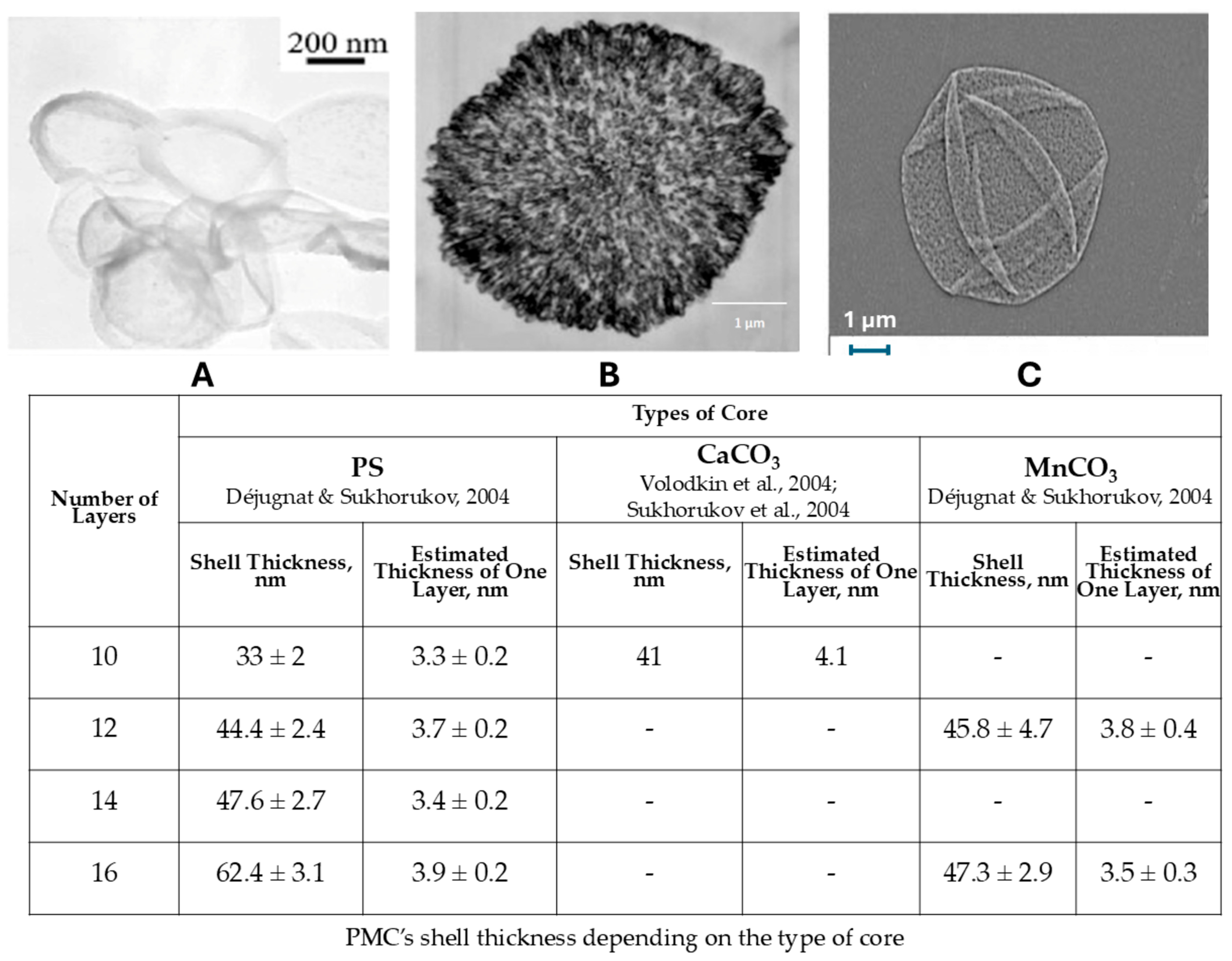 Polymers 17 02149 g001 Polymers 17 02149 g001
