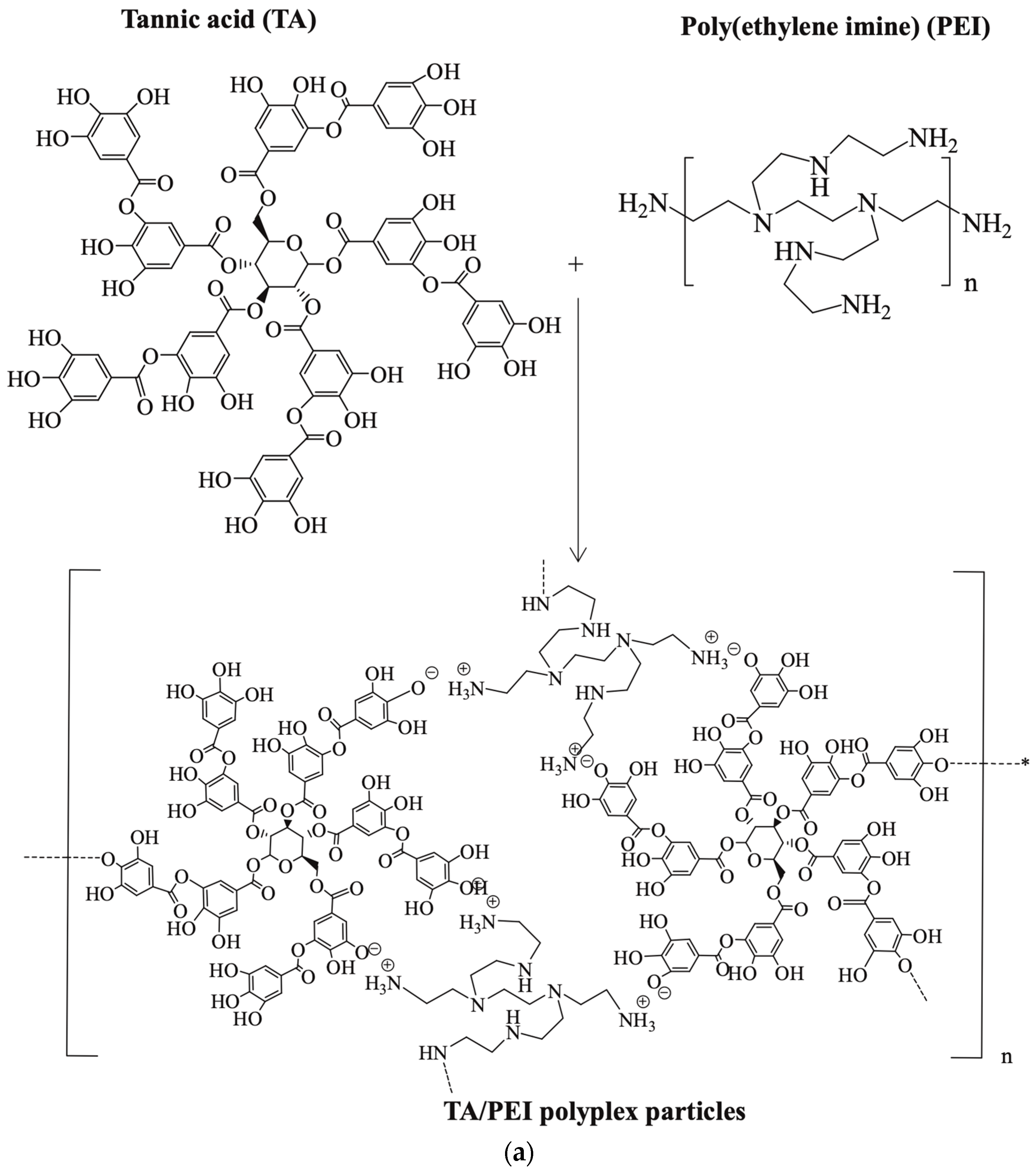 Polymers 17 02150 g004a Polymers 17 02150 g004a