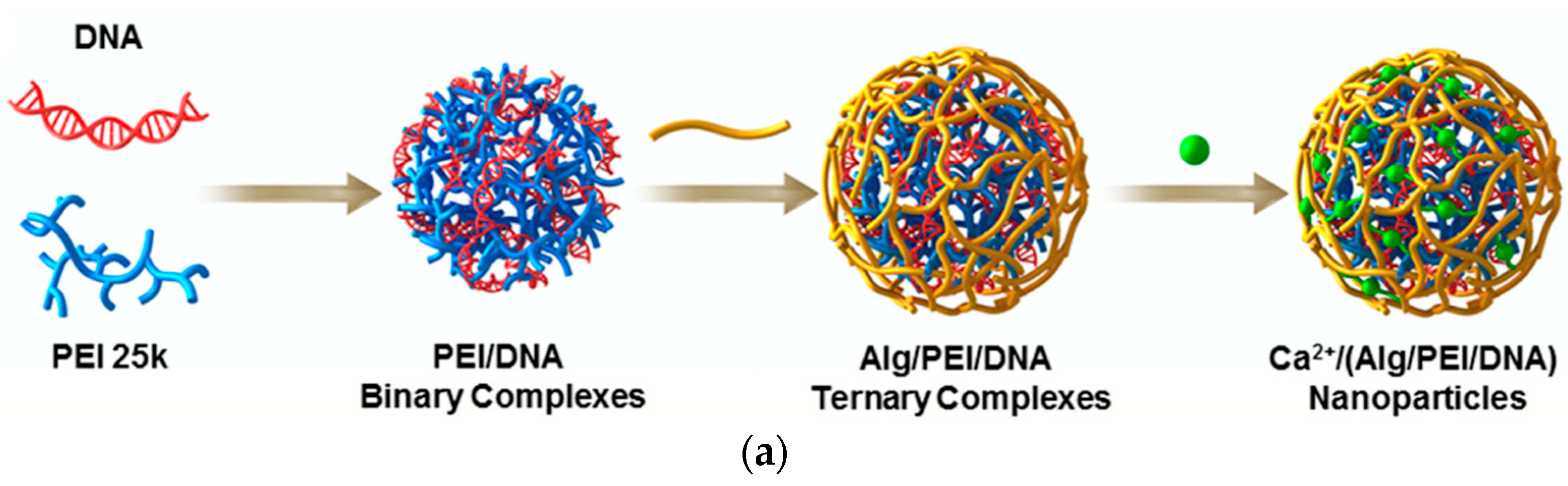 Polymers 17 02150 g005a Polymers 17 02150 g005a