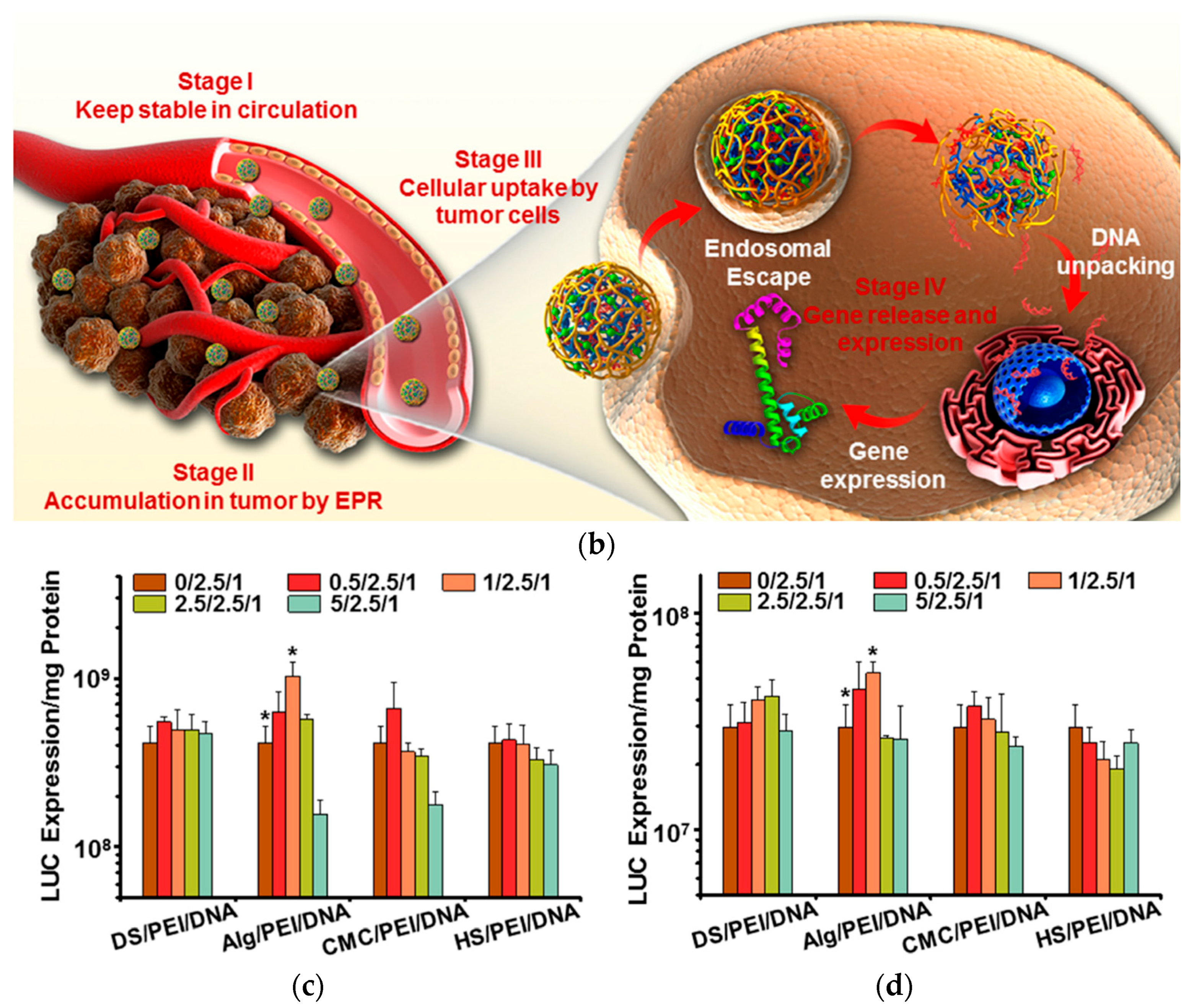 Polymers 17 02150 g005b Polymers 17 02150 g005b