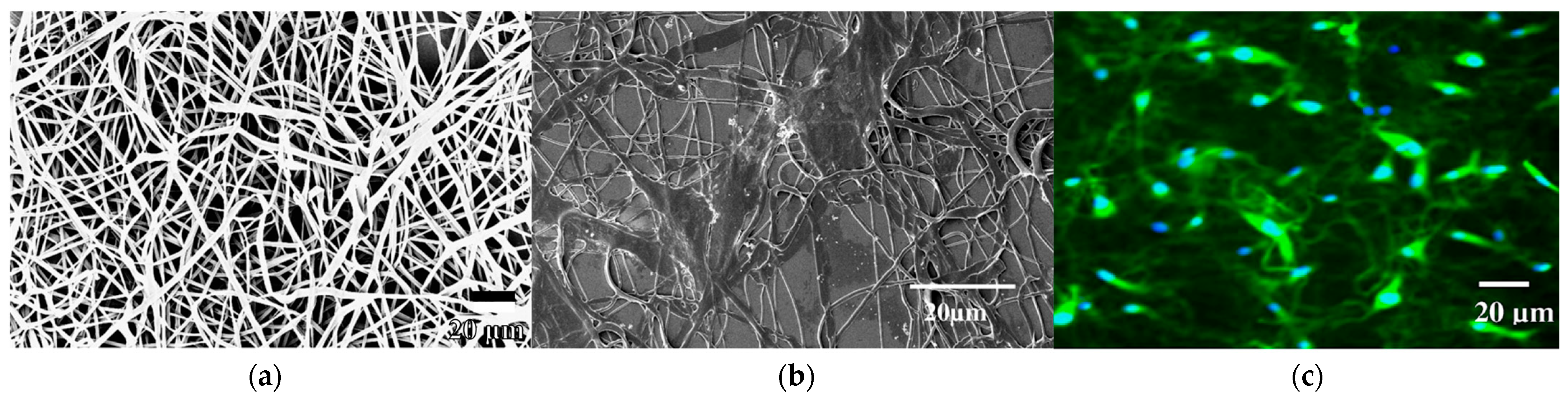 Polymers 17 02150 g006 Polymers 17 02150 g006