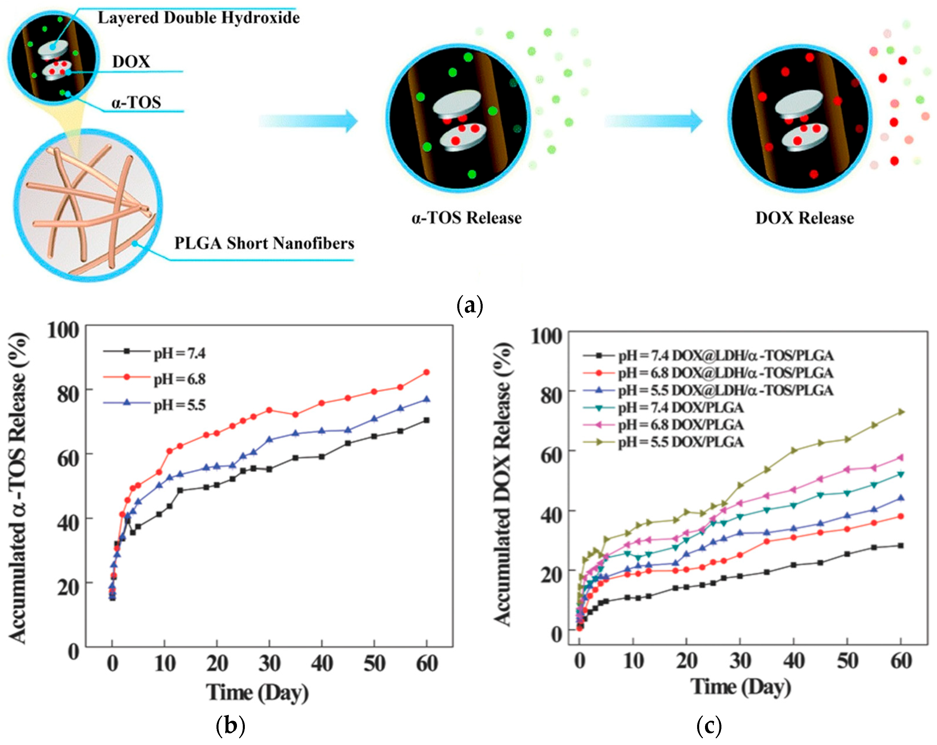Polymers 17 02150 g009 Polymers 17 02150 g009