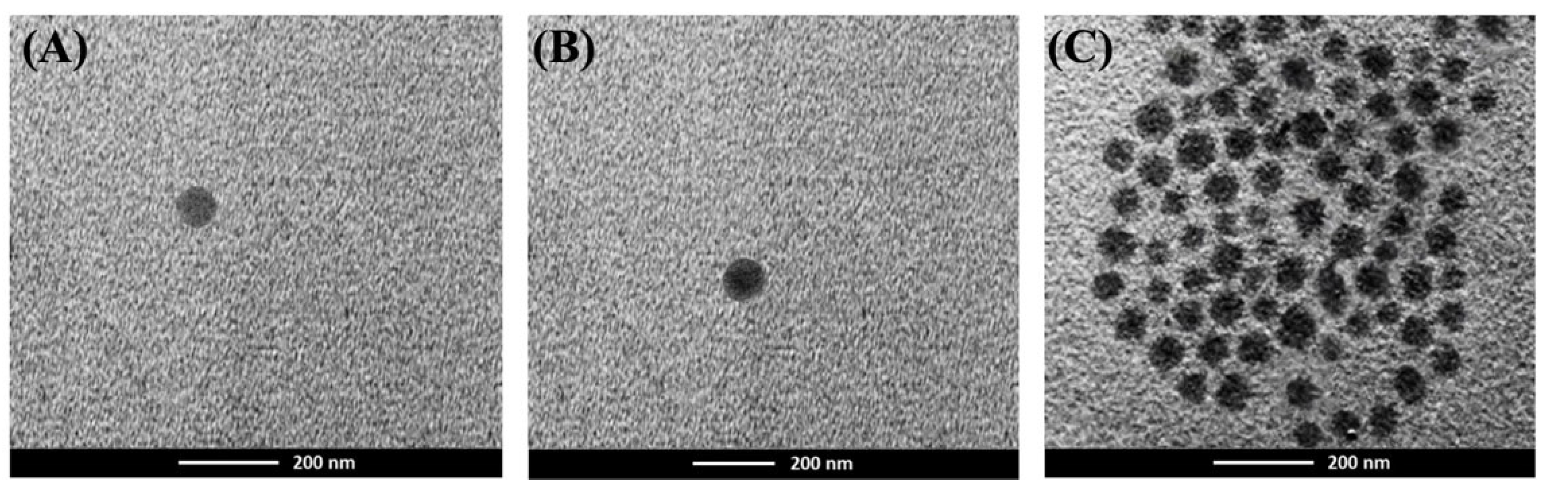 Polymers 17 02151 g001