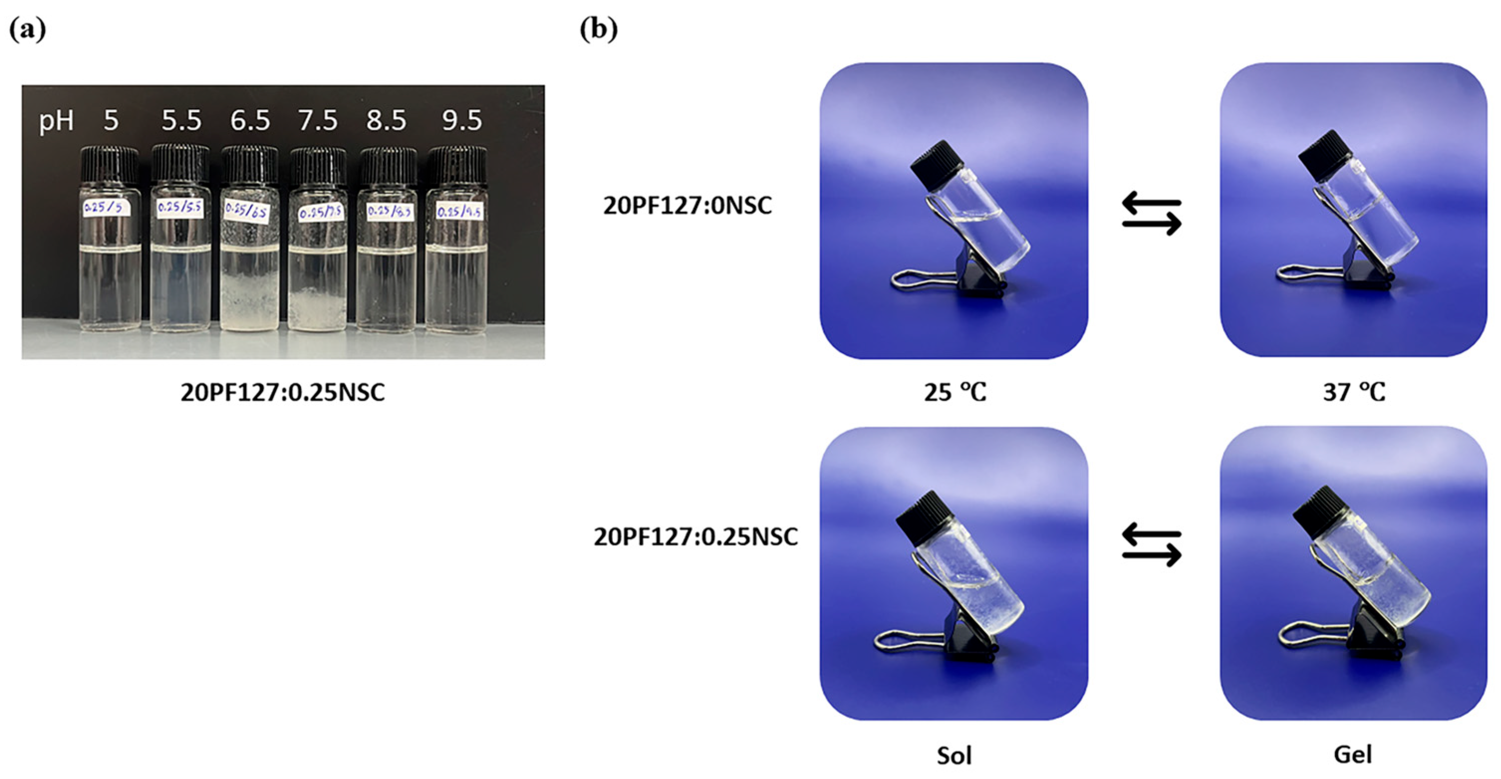 Polymers 17 02157 g005