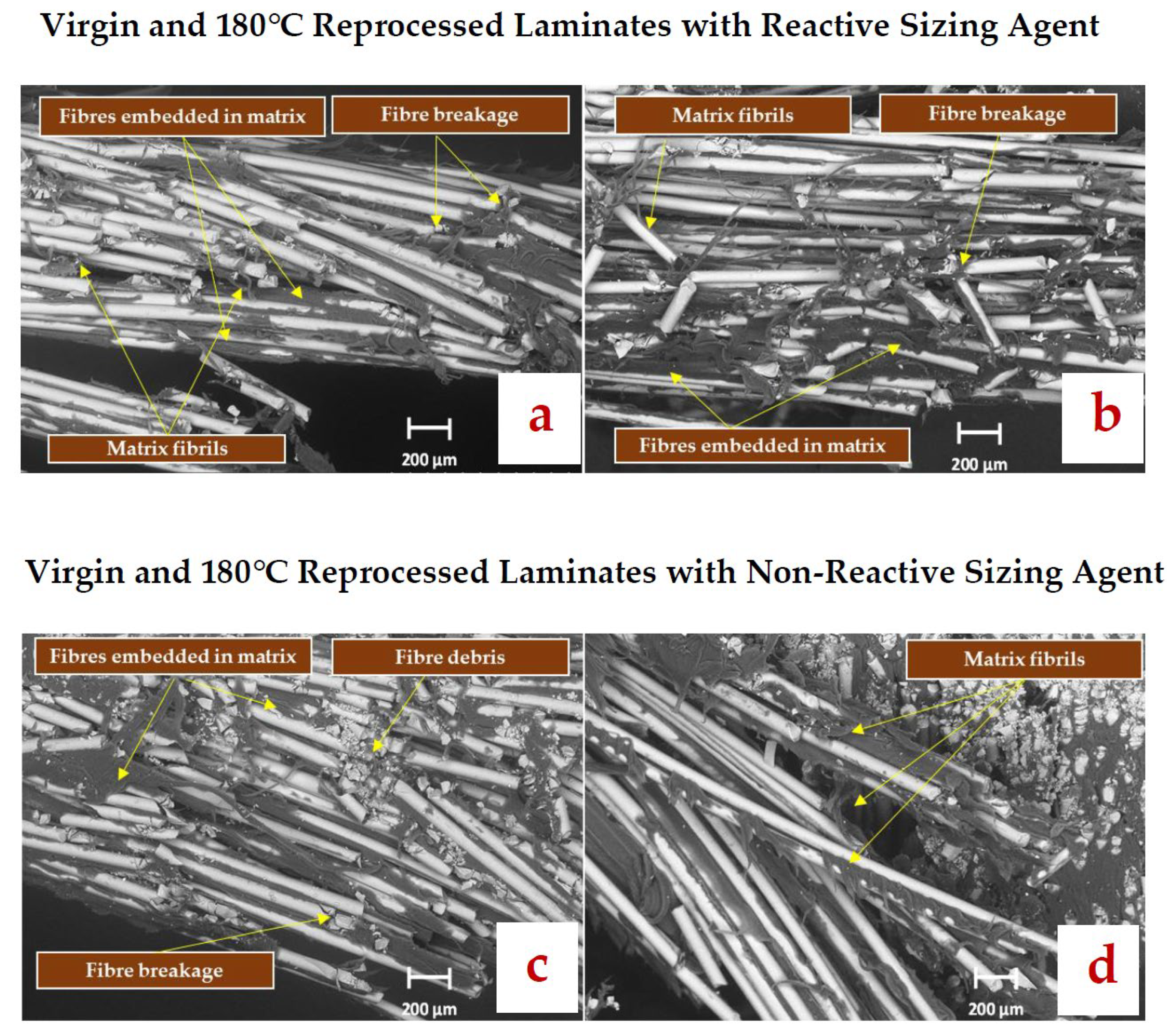 Polymers 17 02160 g008