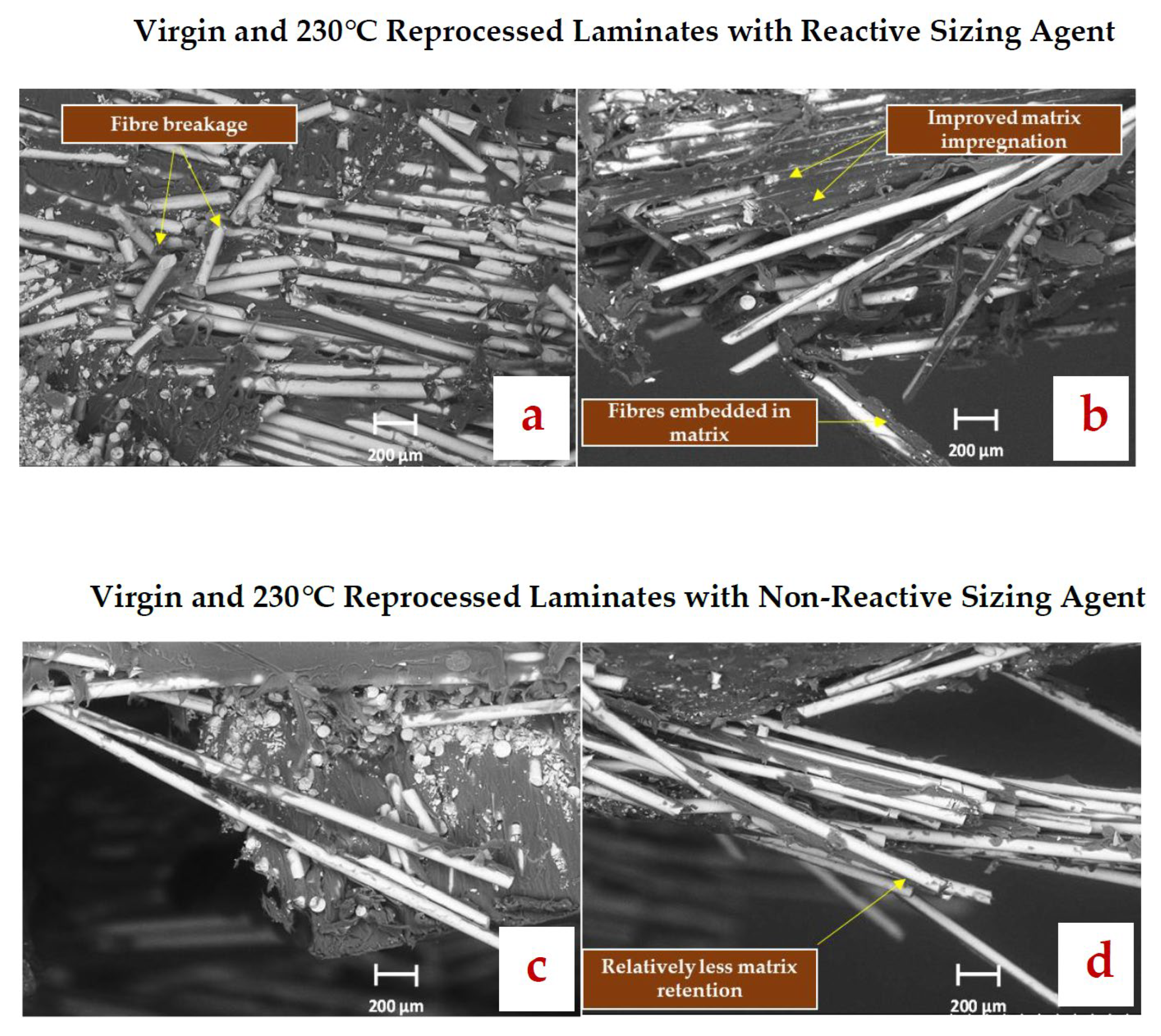 Polymers 17 02160 g009