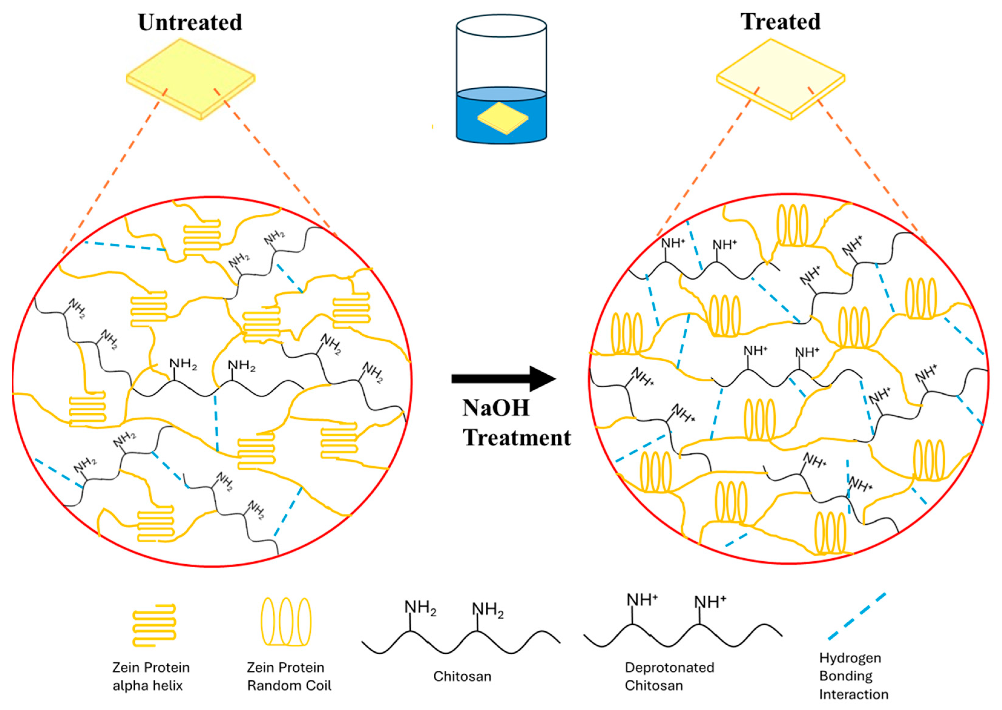 Polymers 17 02161 g007 Polymers 17 02161 g007