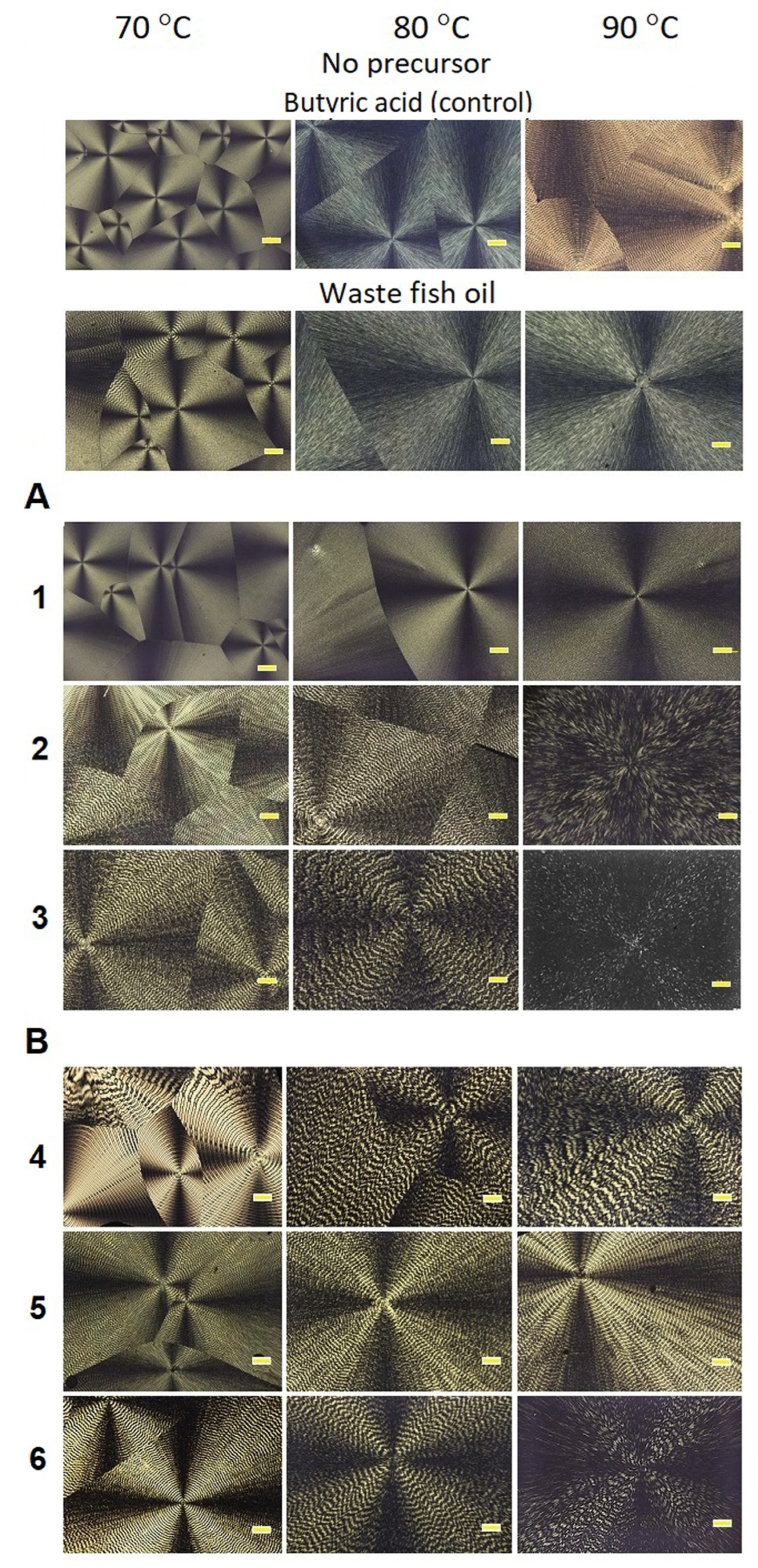 Polymers 17 02171 g010 Polymers 17 02171 g010