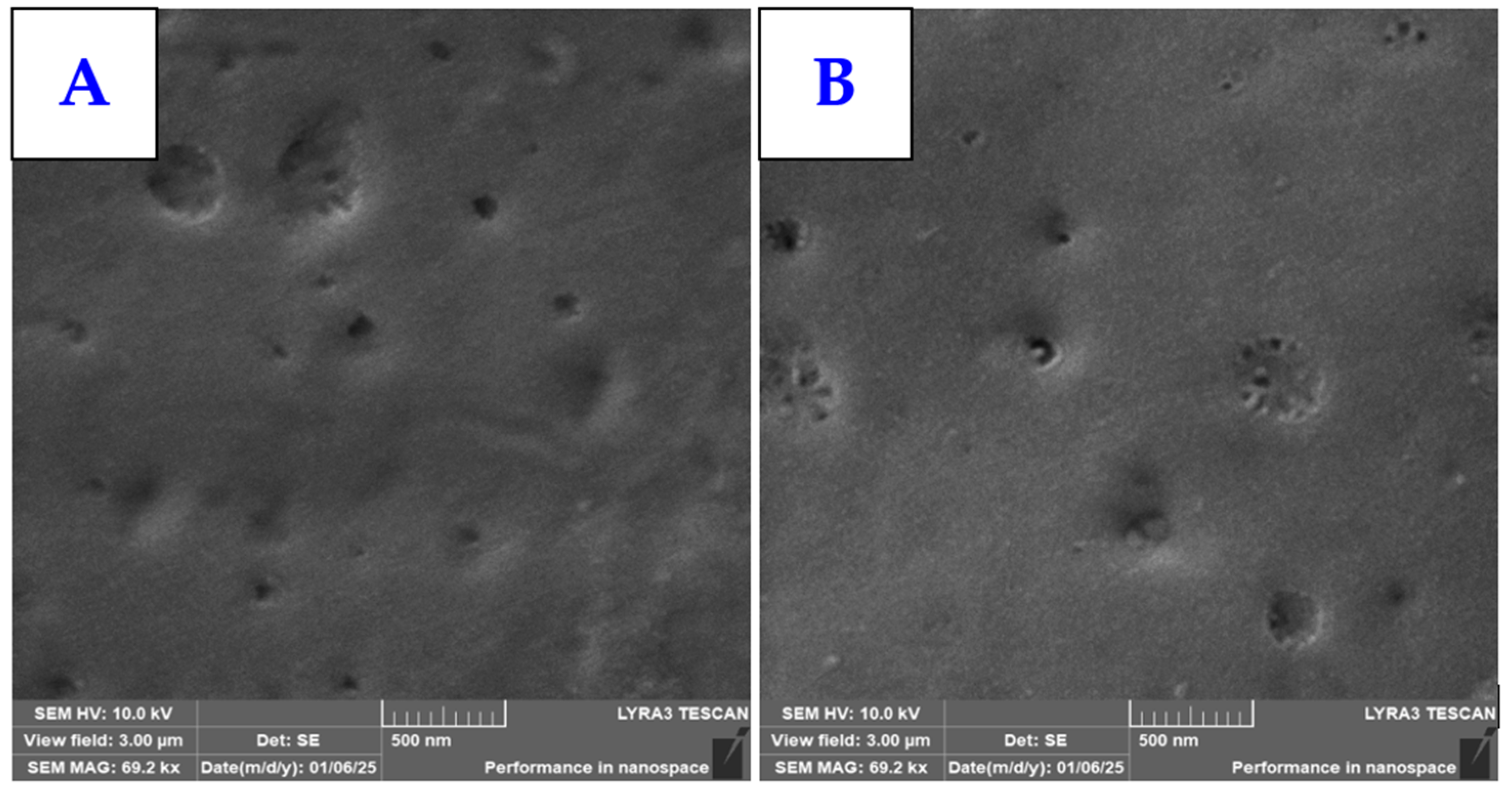 Polymers 17 02173 g003 Polymers 17 02173 g003