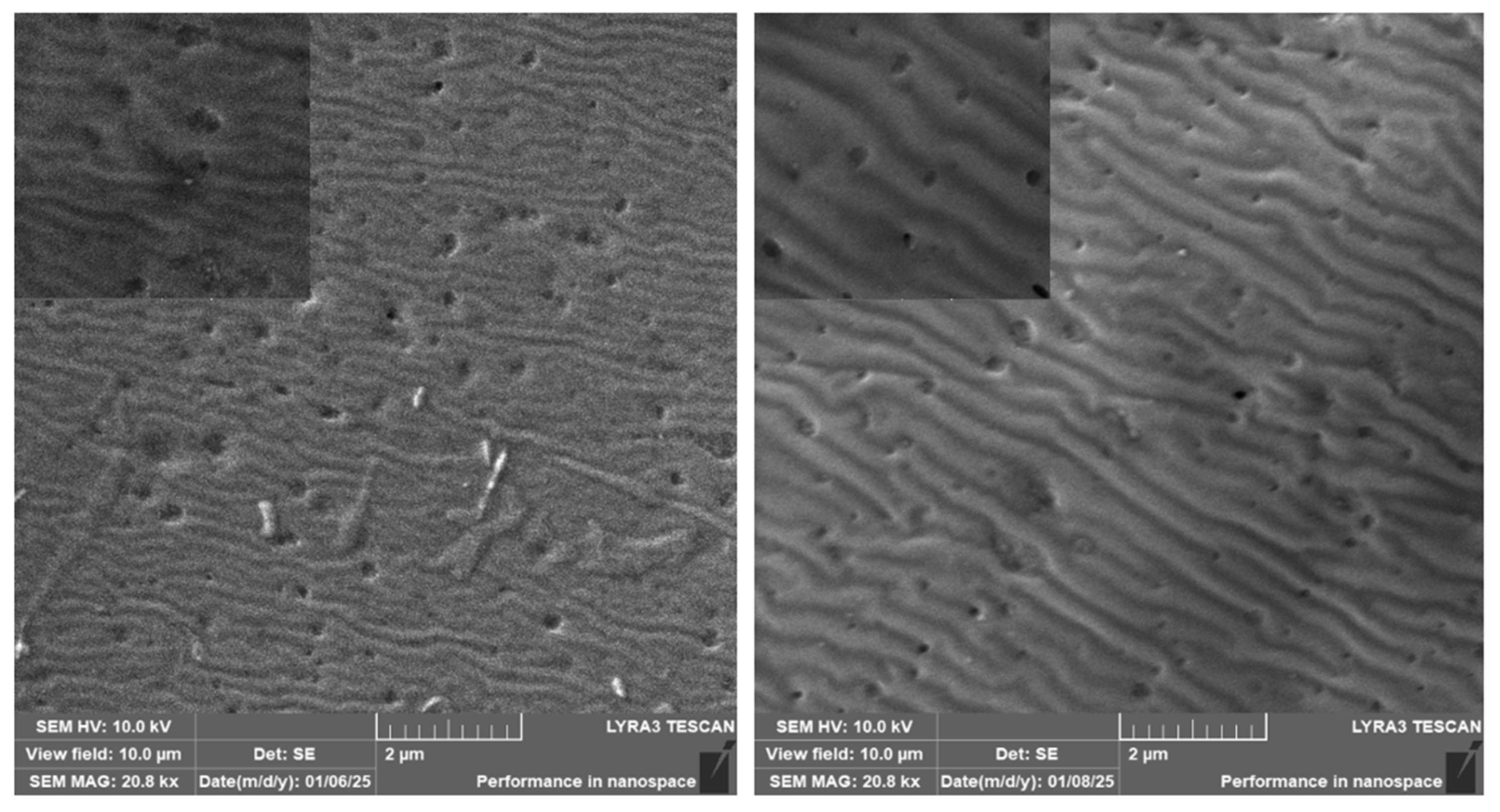 Polymers 17 02173 g004 Polymers 17 02173 g004