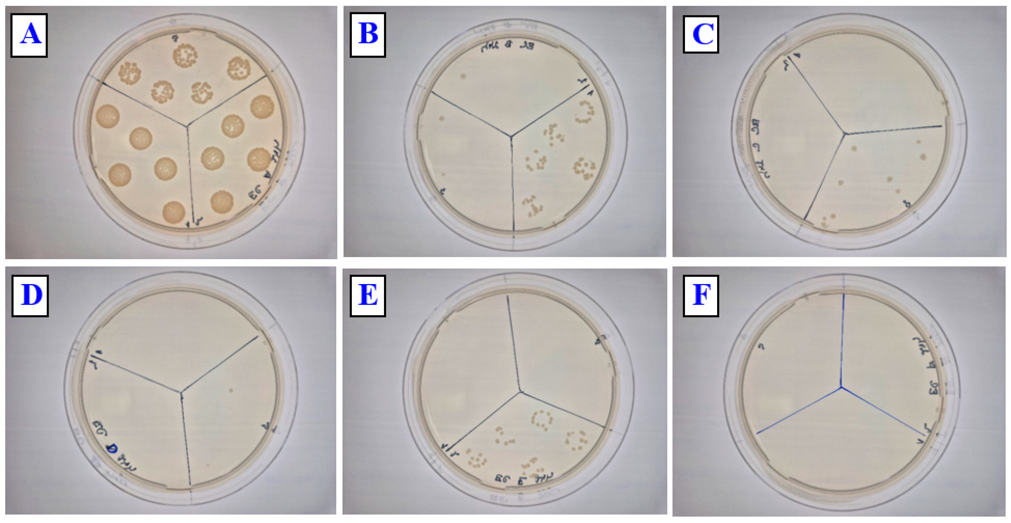 Polymers 17 02173 g012 Polymers 17 02173 g012