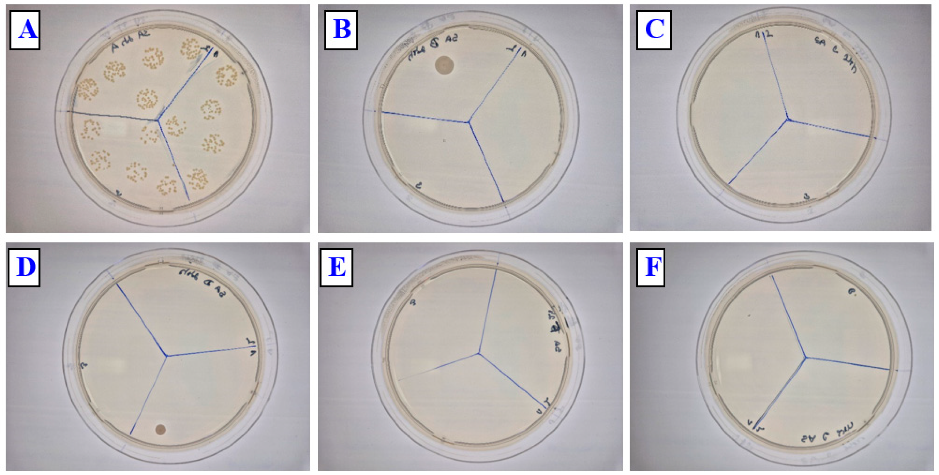 Polymers 17 02173 g013 Polymers 17 02173 g013
