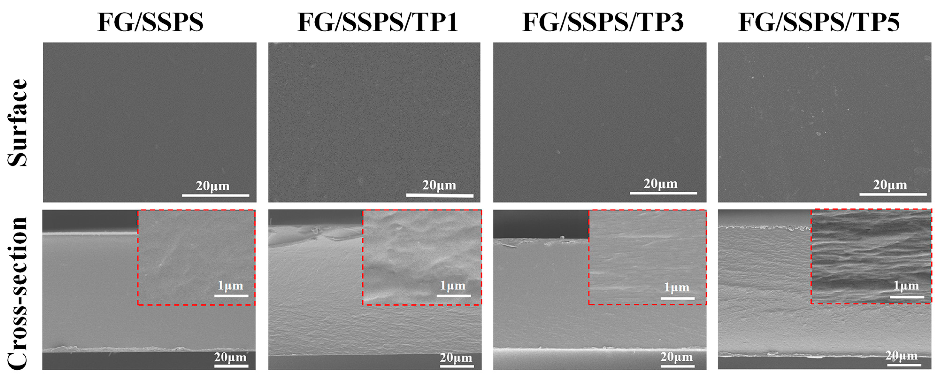 Polymers 17 02174 g002