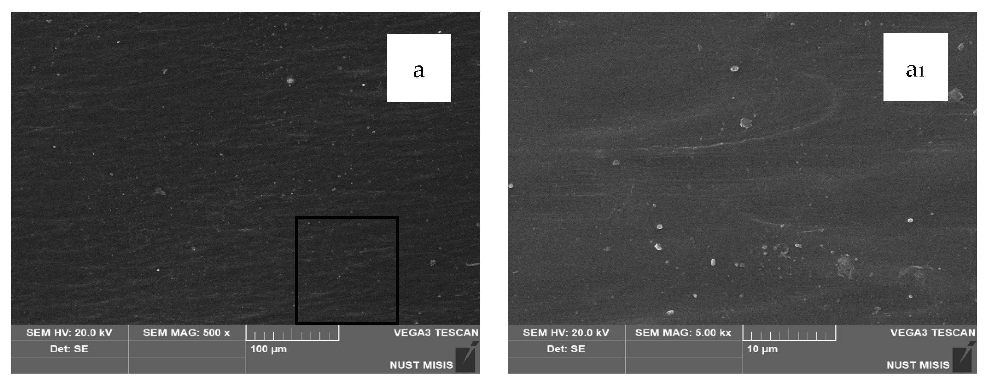Polymers 17 02182 g007a