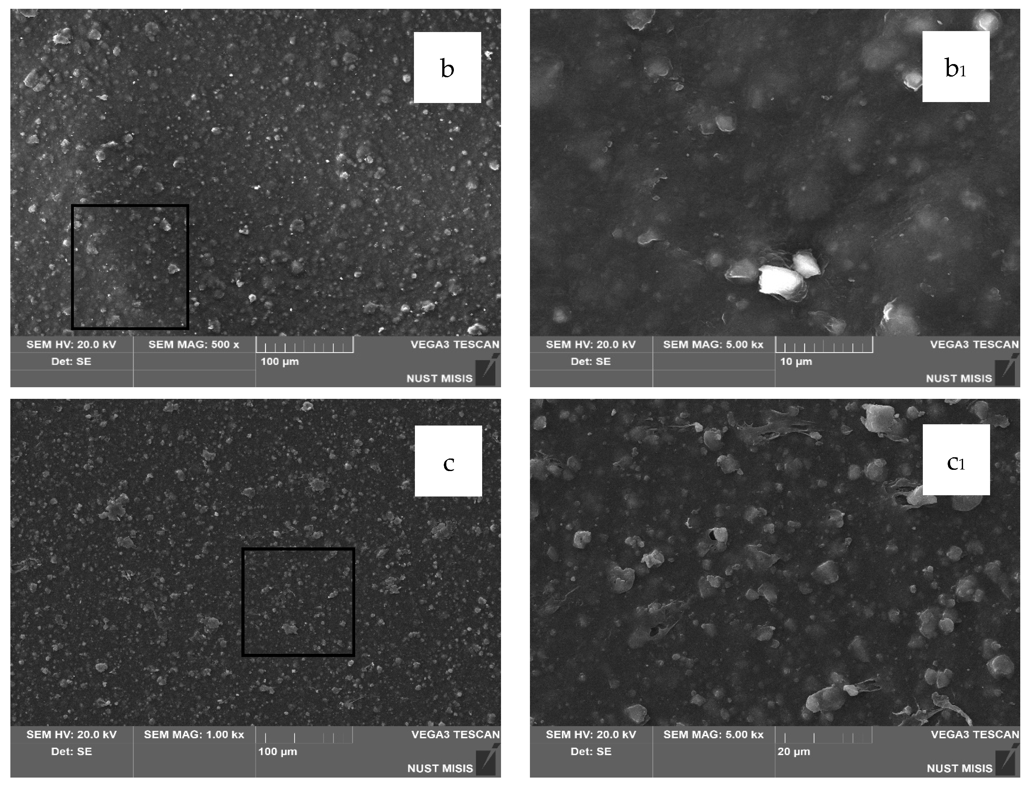 Polymers 17 02182 g007b