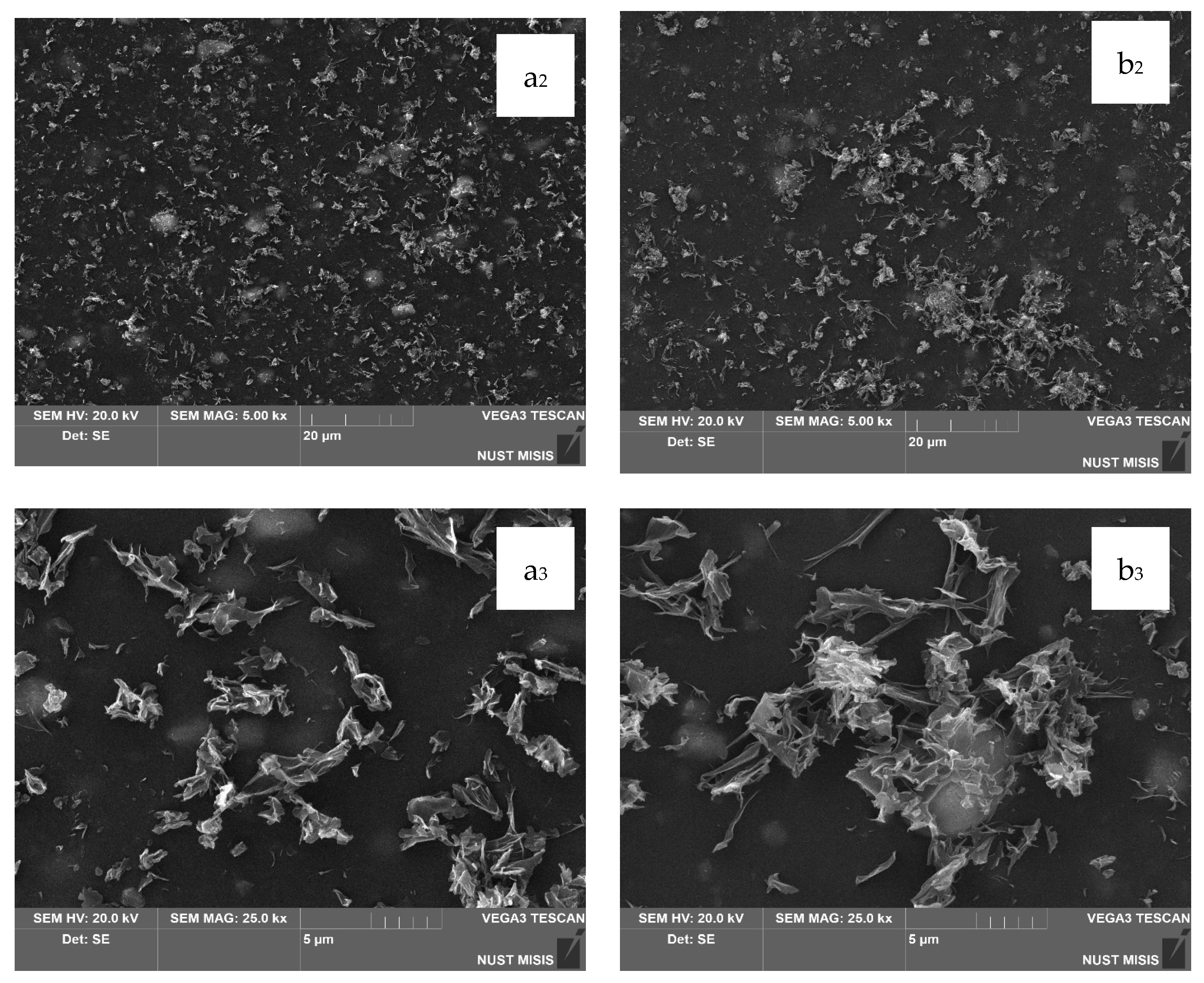 Polymers 17 02182 g008b