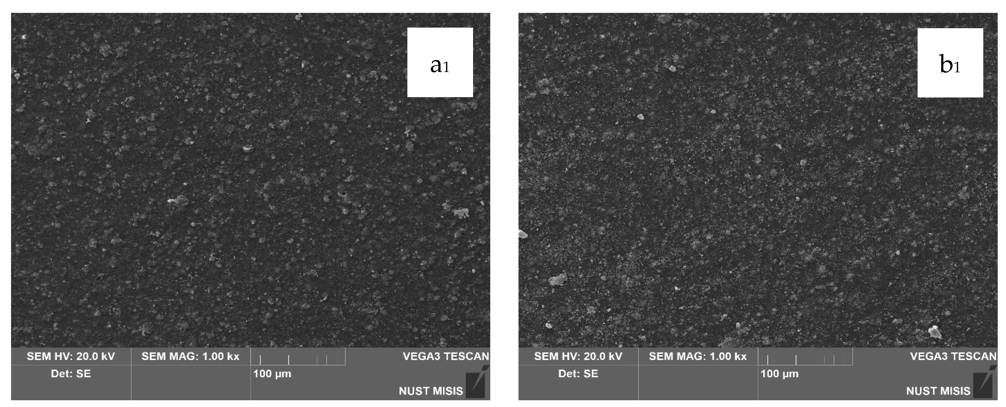 Polymers 17 02182 g009a
