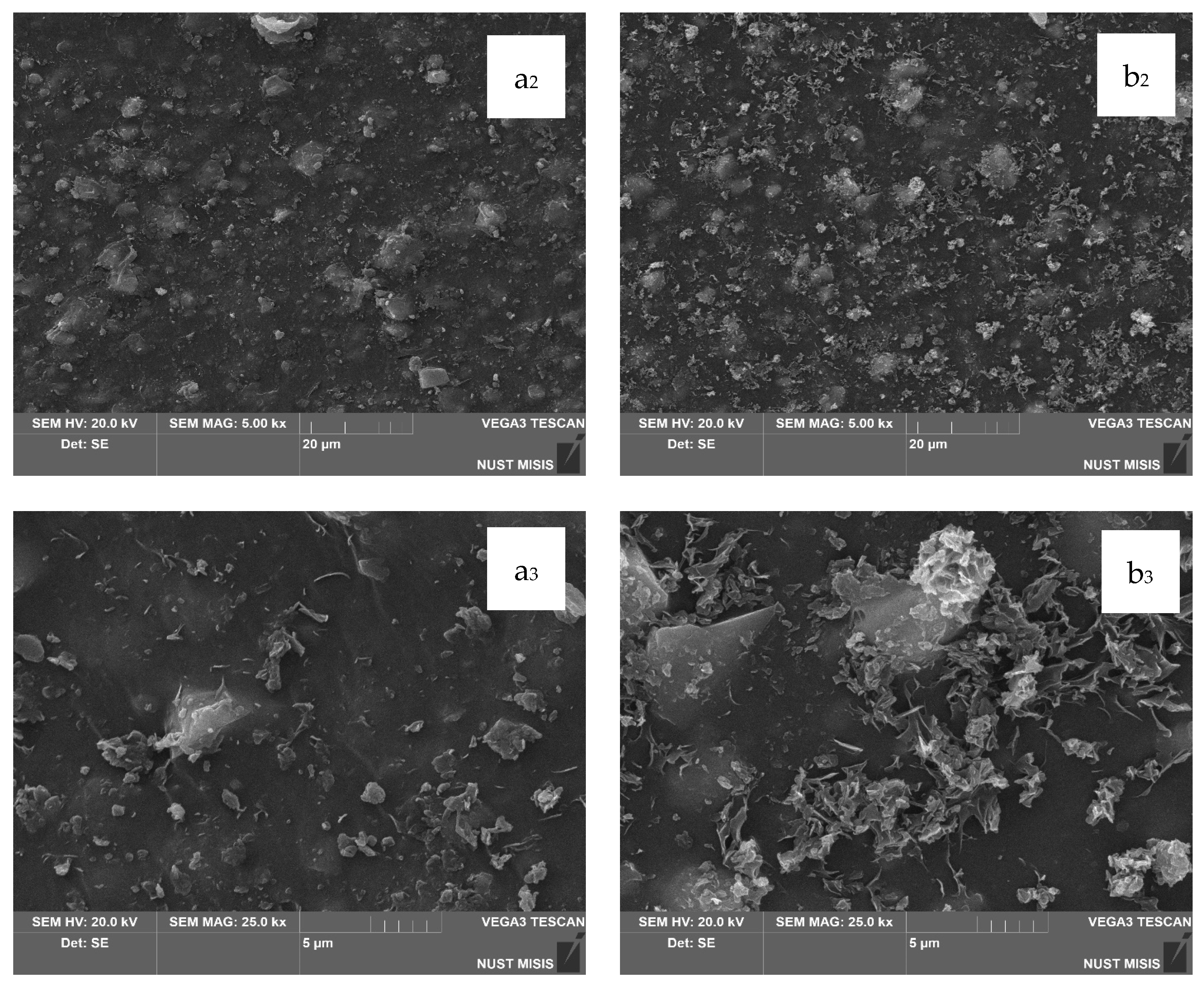 Polymers 17 02182 g009b