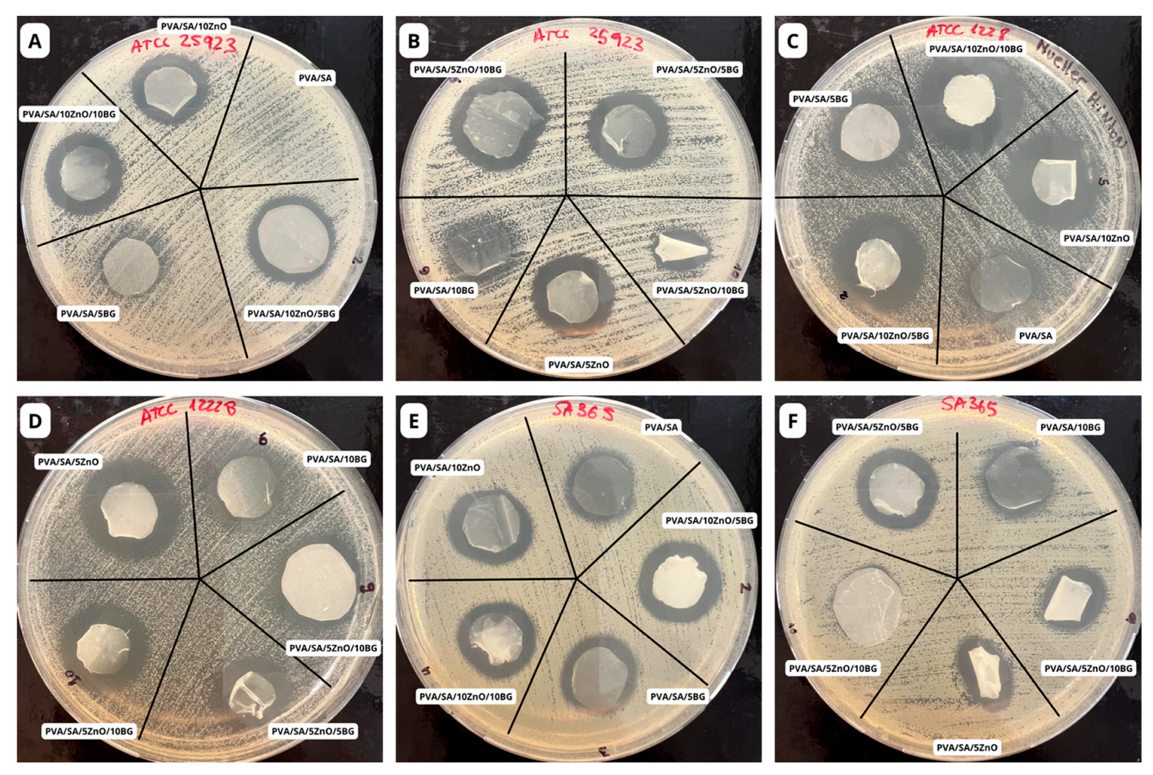 Polymers 17 02185 g009