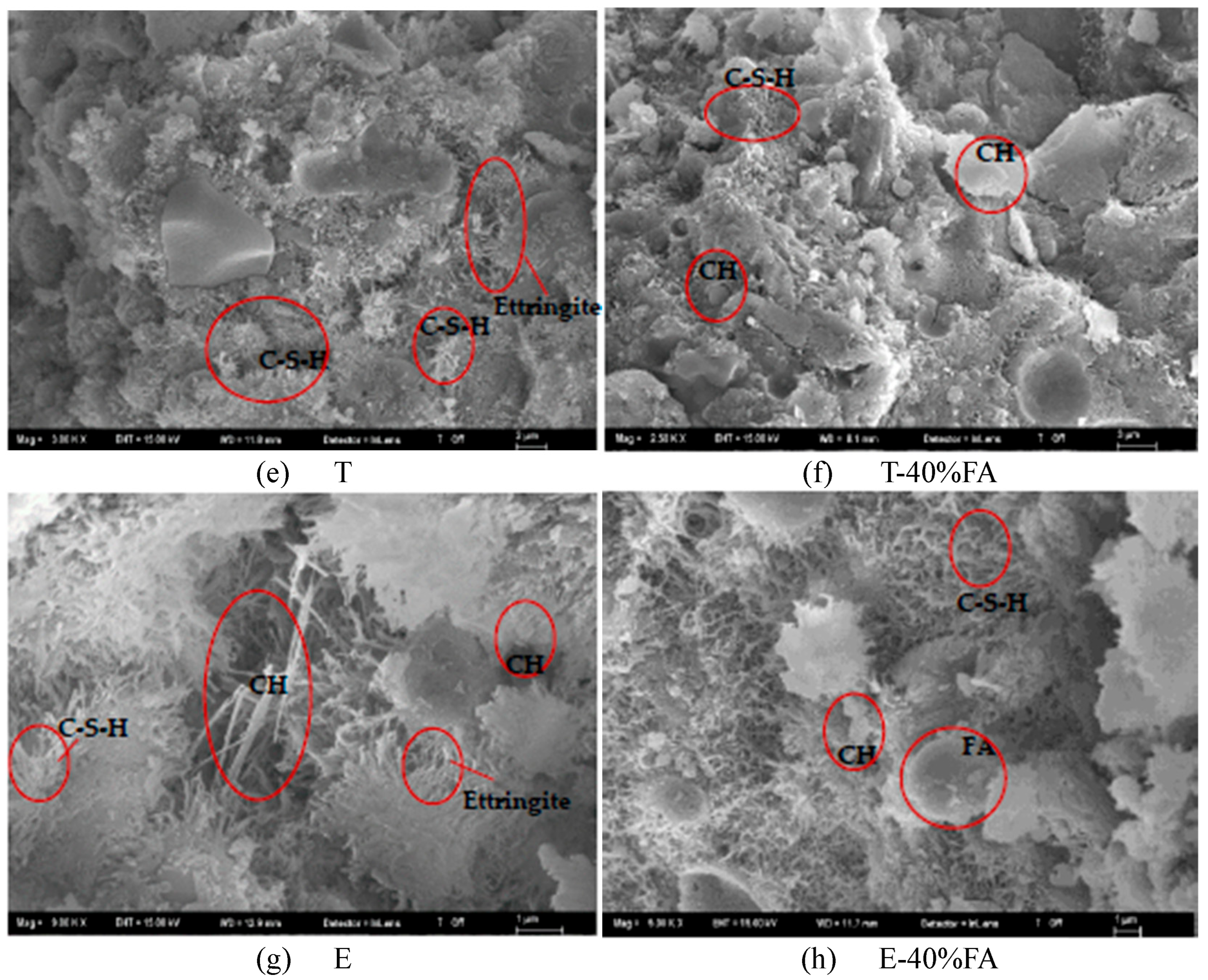 Polymers 17 02186 g008b