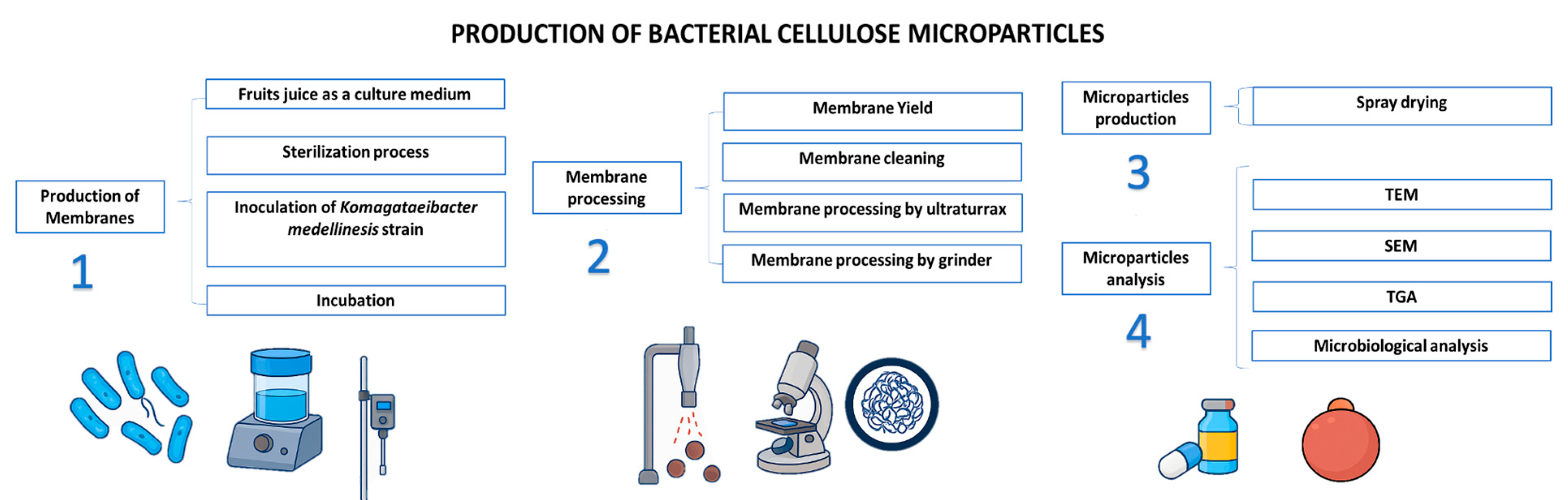 Polymers 17 02193 g001
