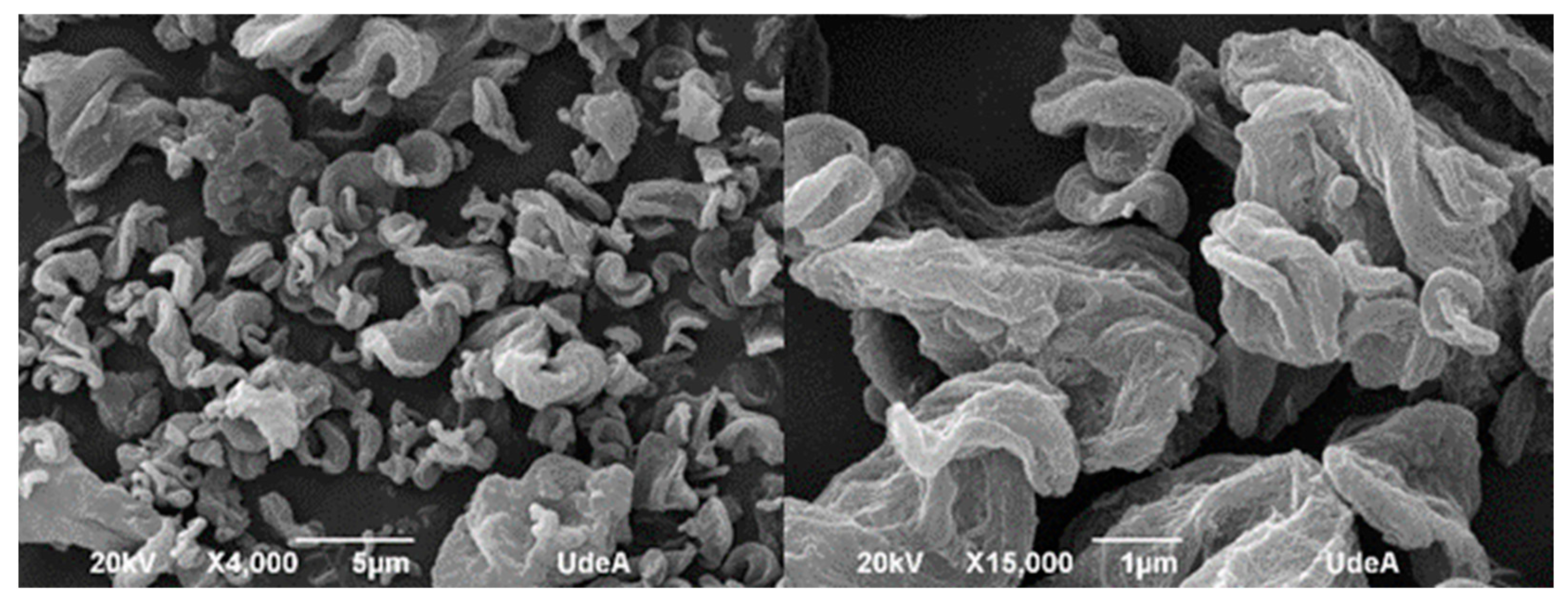Polymers 17 02193 g008