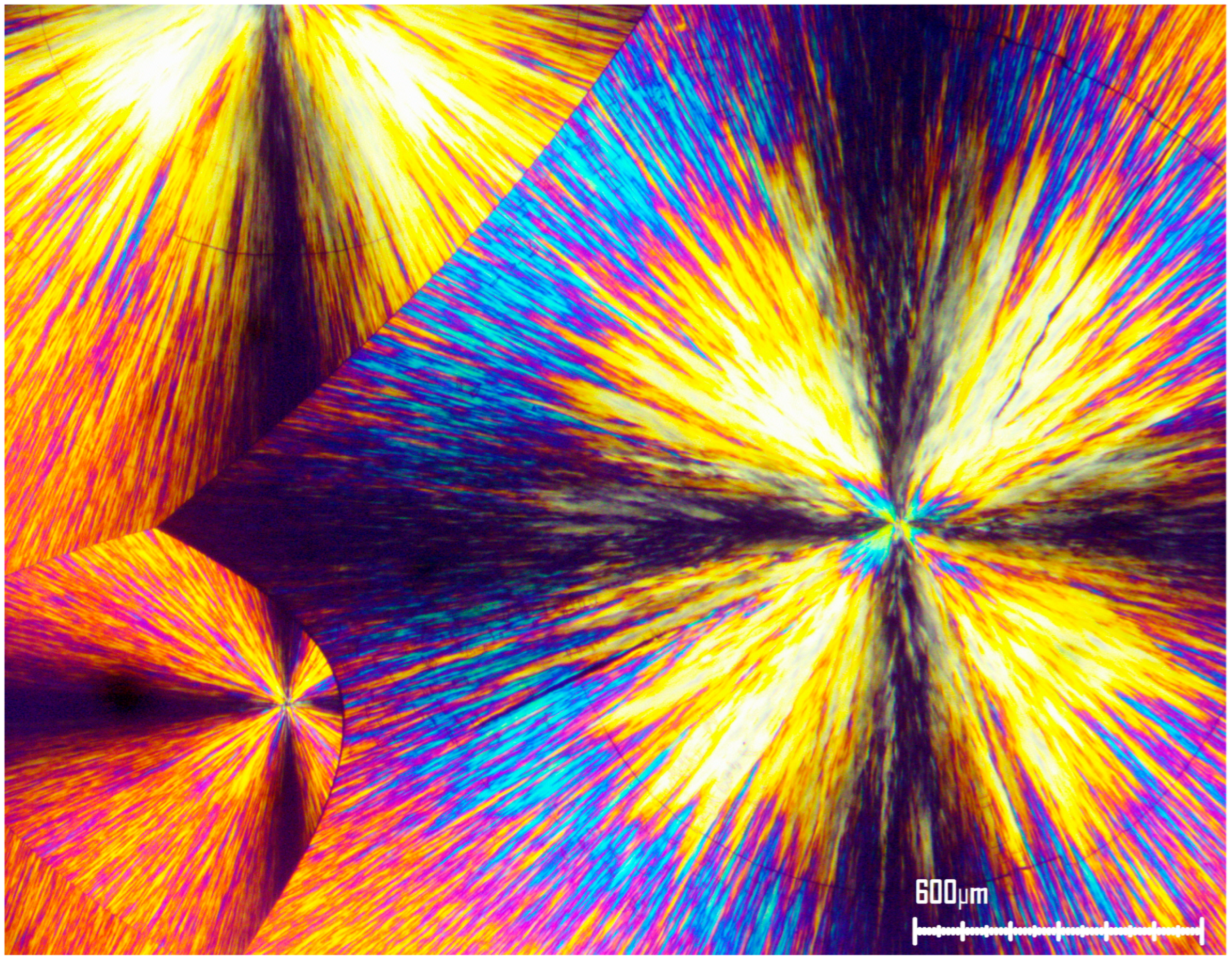 Polymers 17 02199 g002