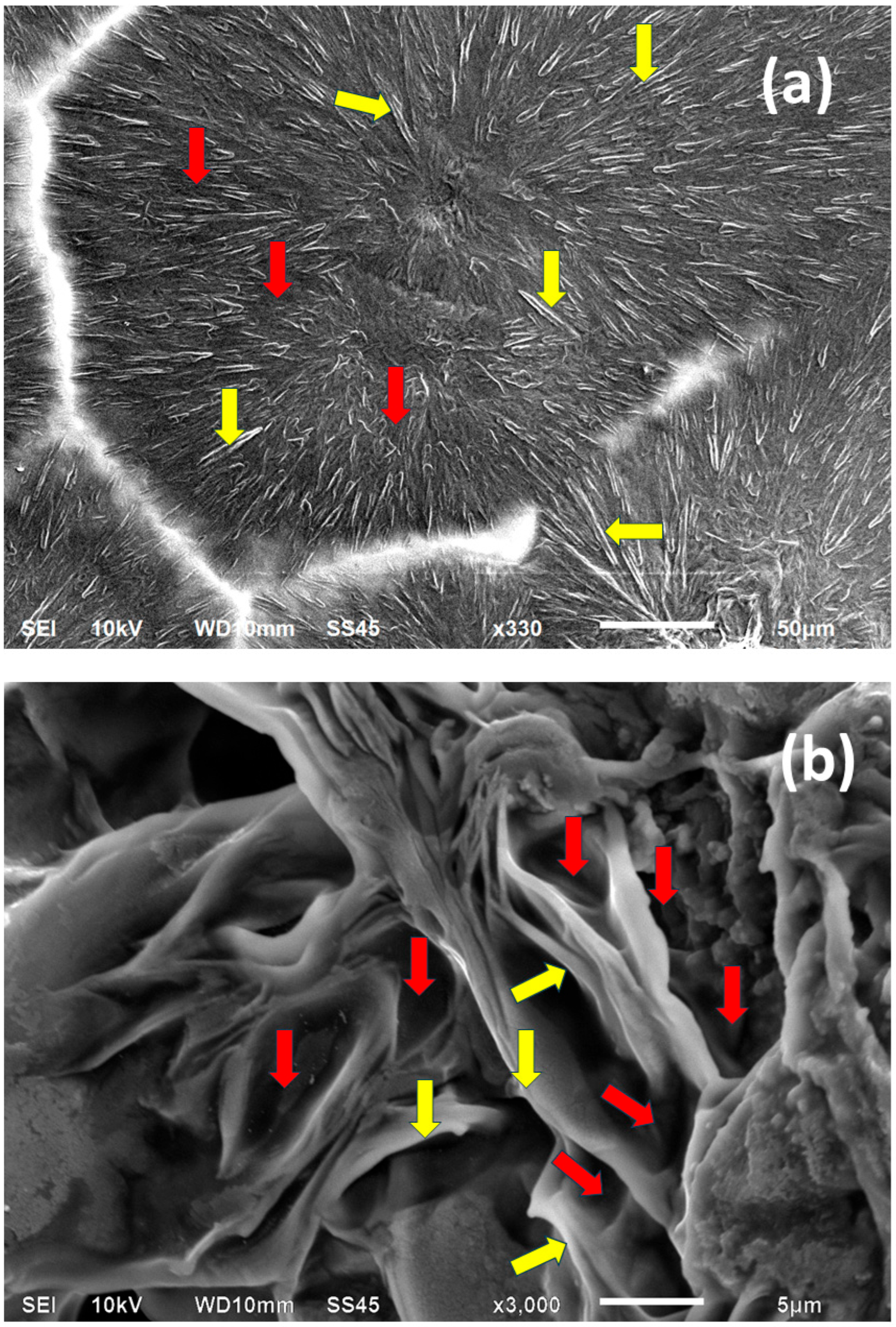 Polymers 17 02199 g003