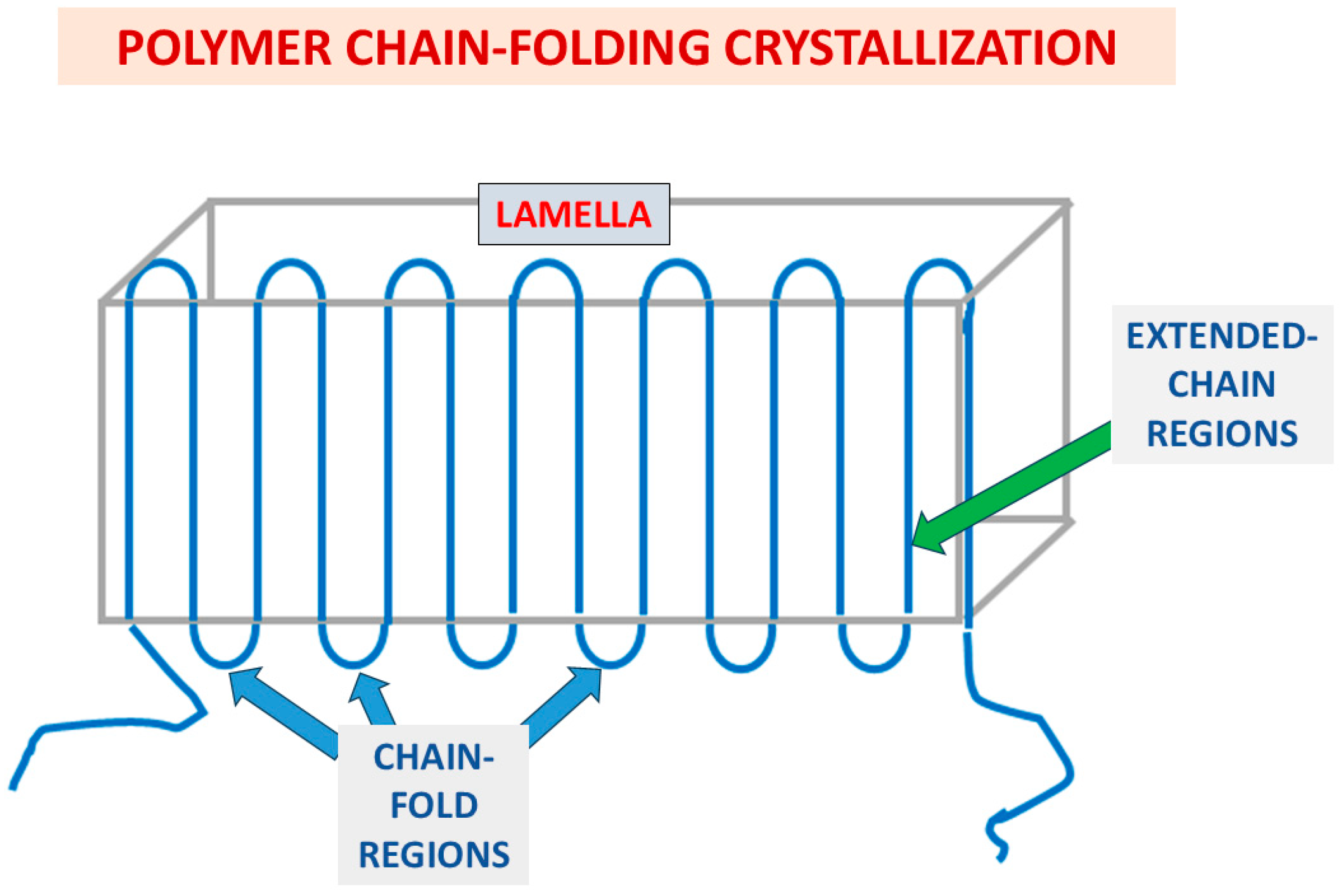 Polymers 17 02199 g004