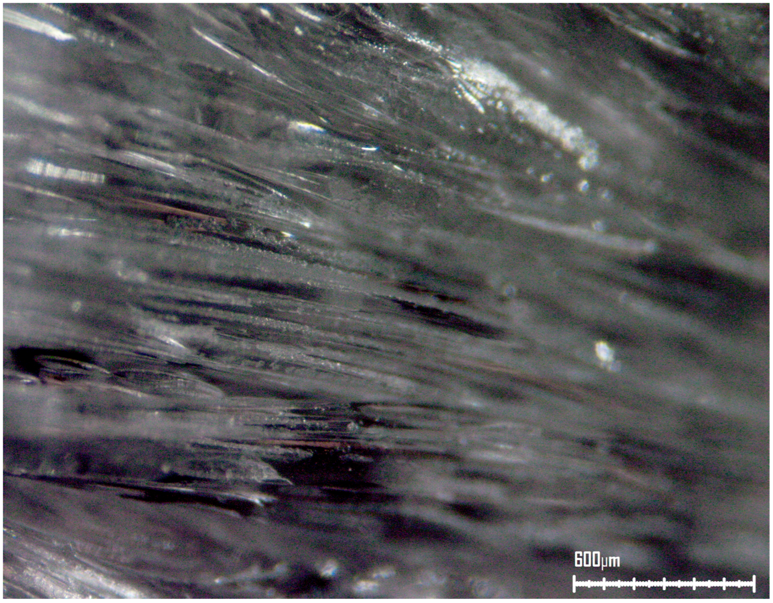 Polymers 17 02199 g007