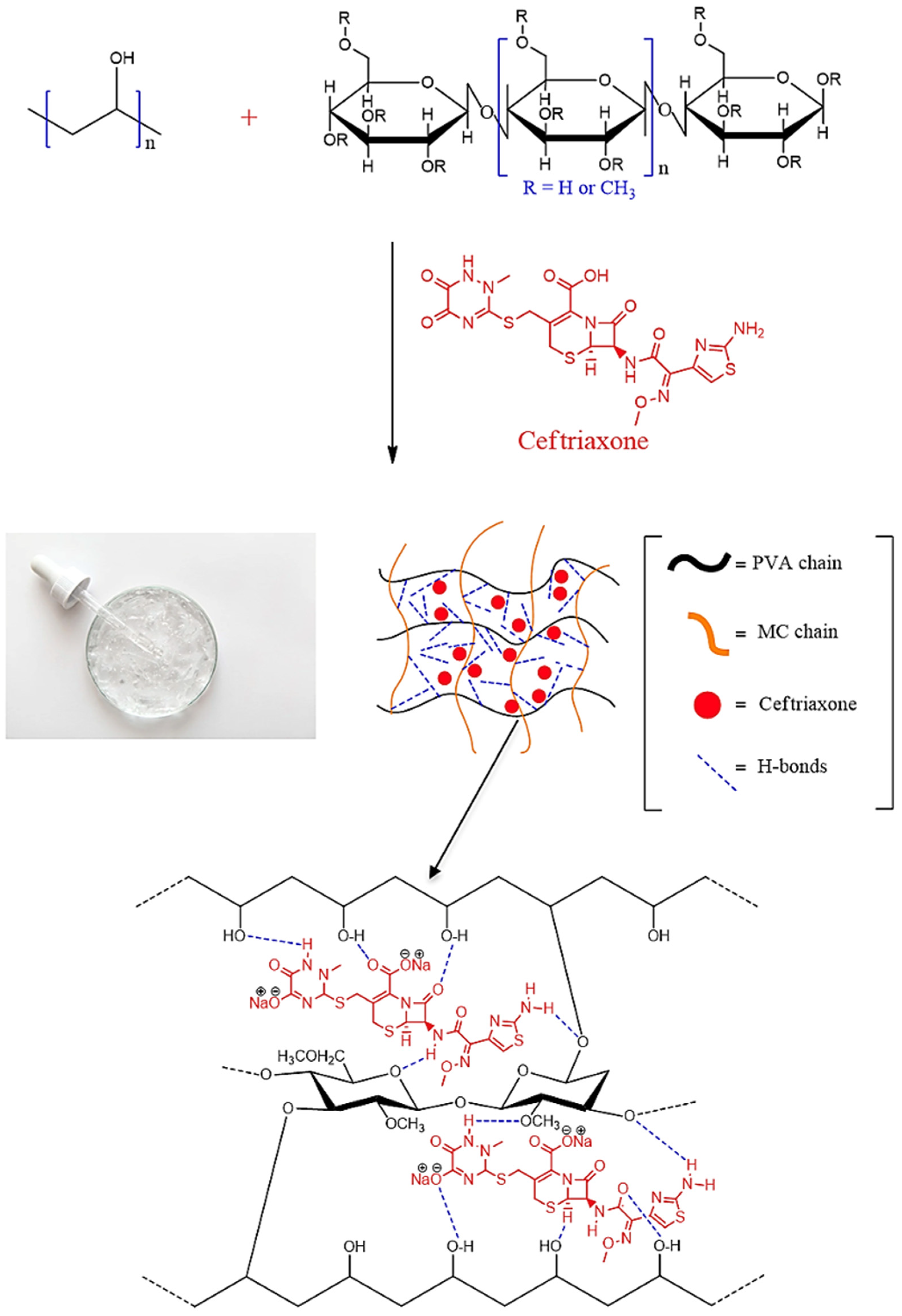 Polymers 17 02203 g006 Polymers 17 02203 g006