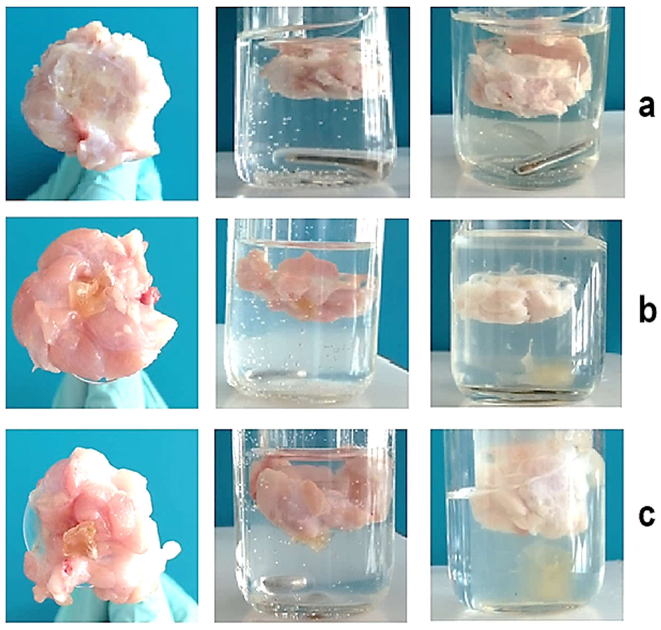 Polymers 17 02203 g011 Polymers 17 02203 g011