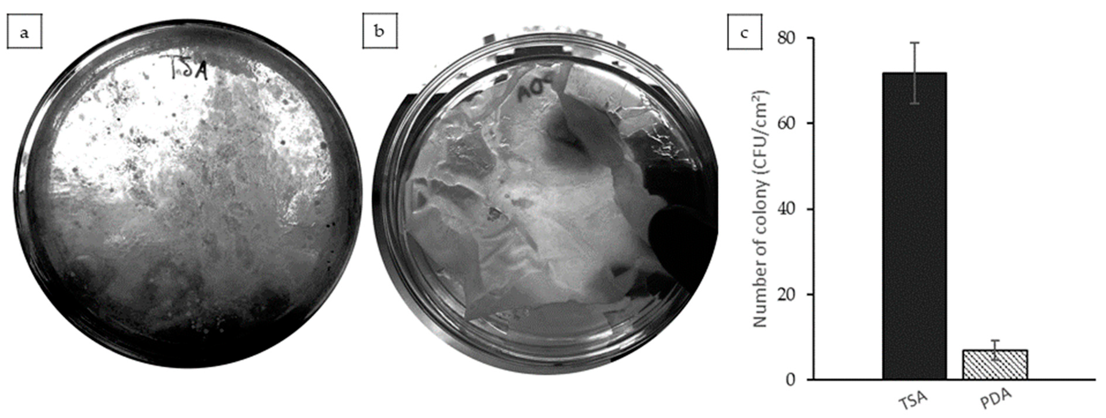 Polymers 17 02207 g007 Polymers 17 02207 g007