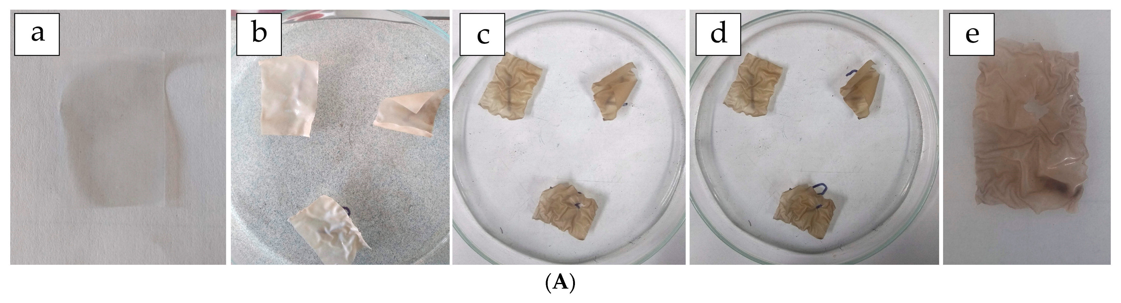 Polymers 17 02207 g008a Polymers 17 02207 g008a