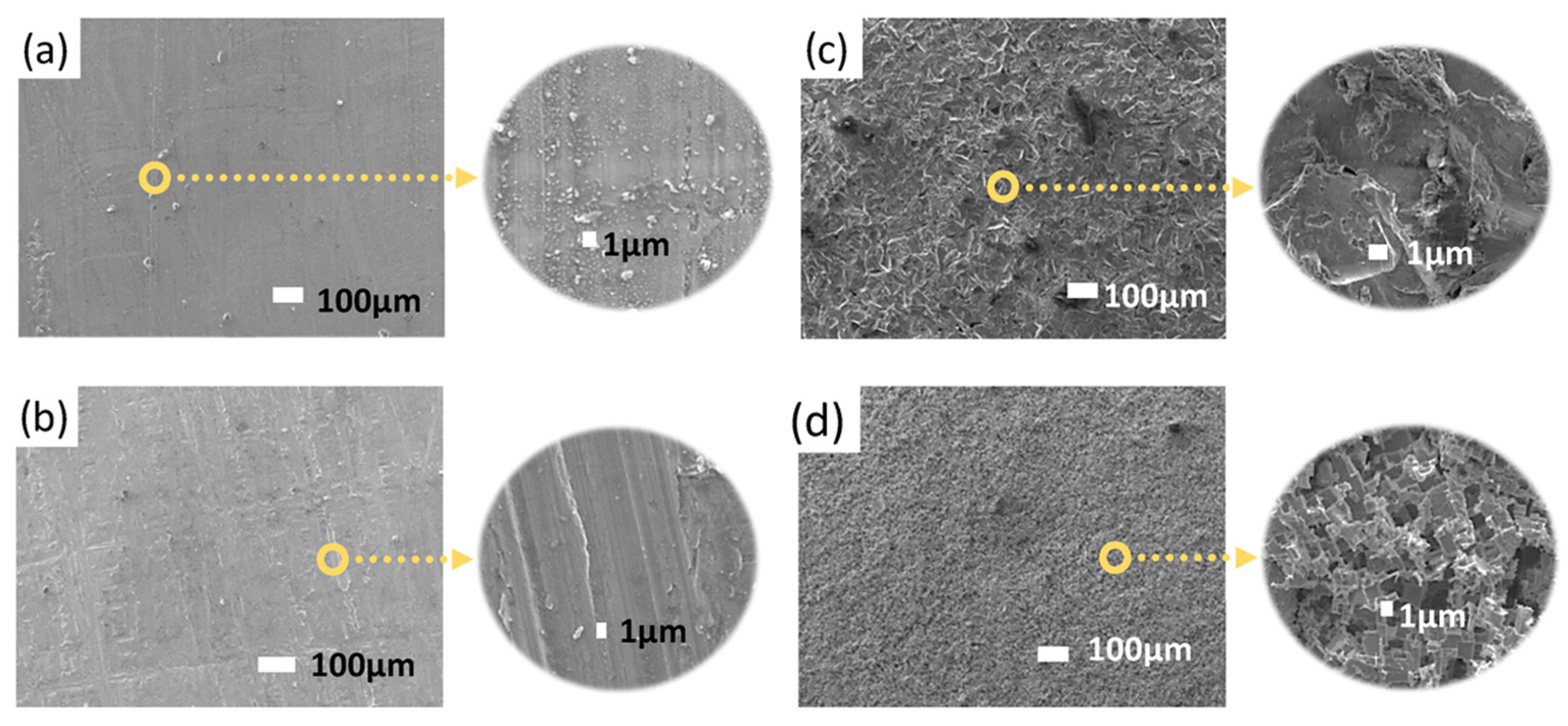 Polymers 17 02210 g005