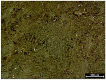 Polymers 17 02216 i007 Polymers 17 02216 i007