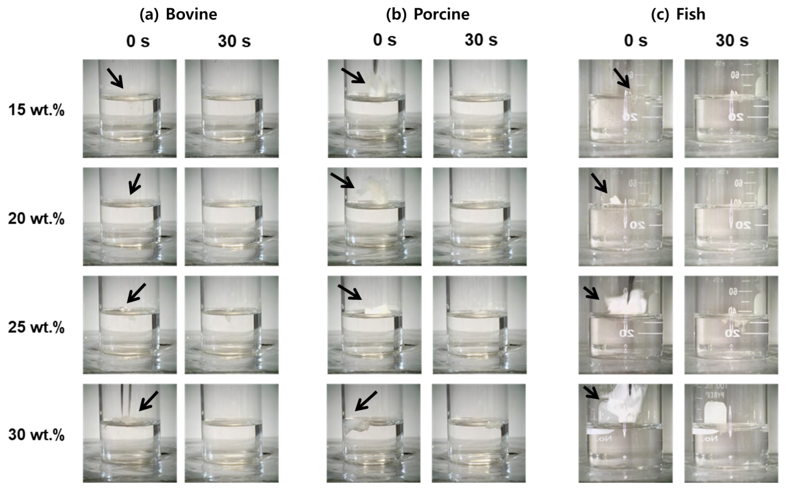 Polymers 17 02219 g006