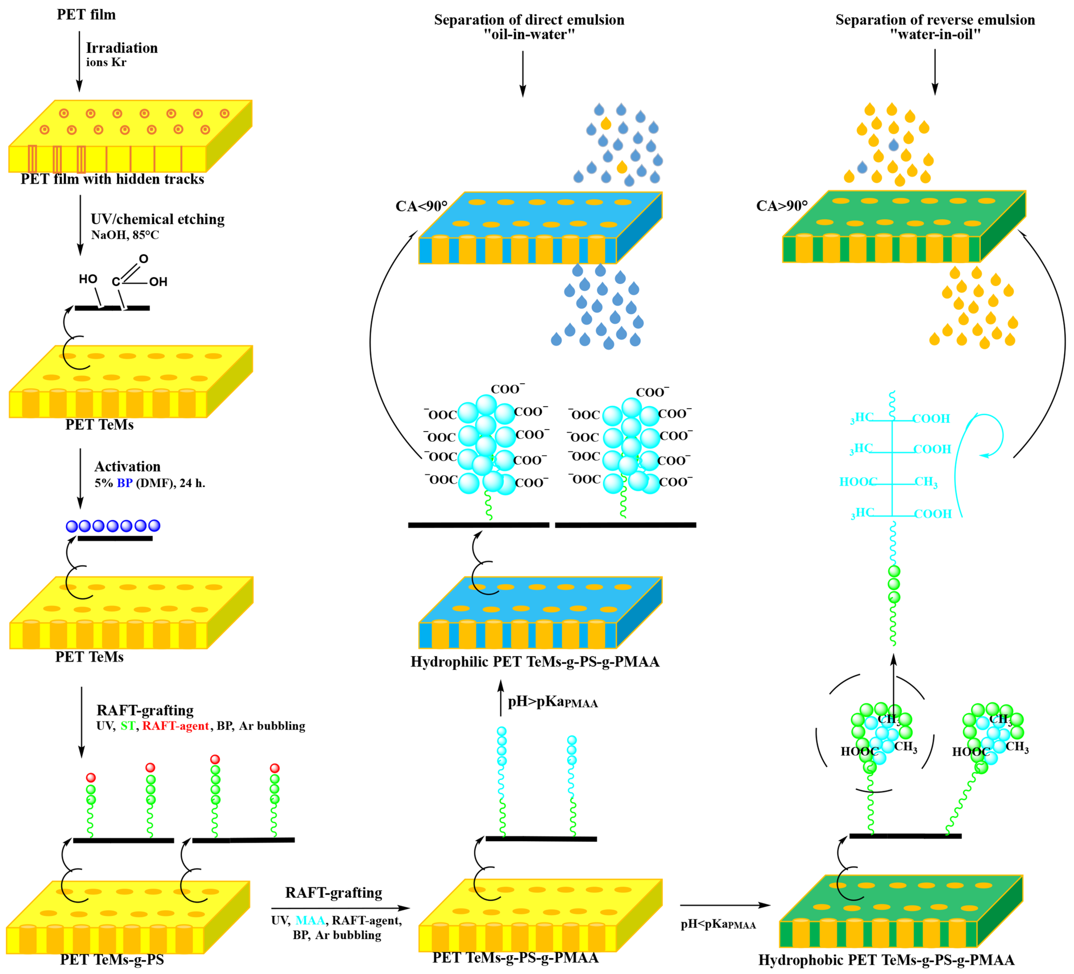 Polymers 17 02221 g001