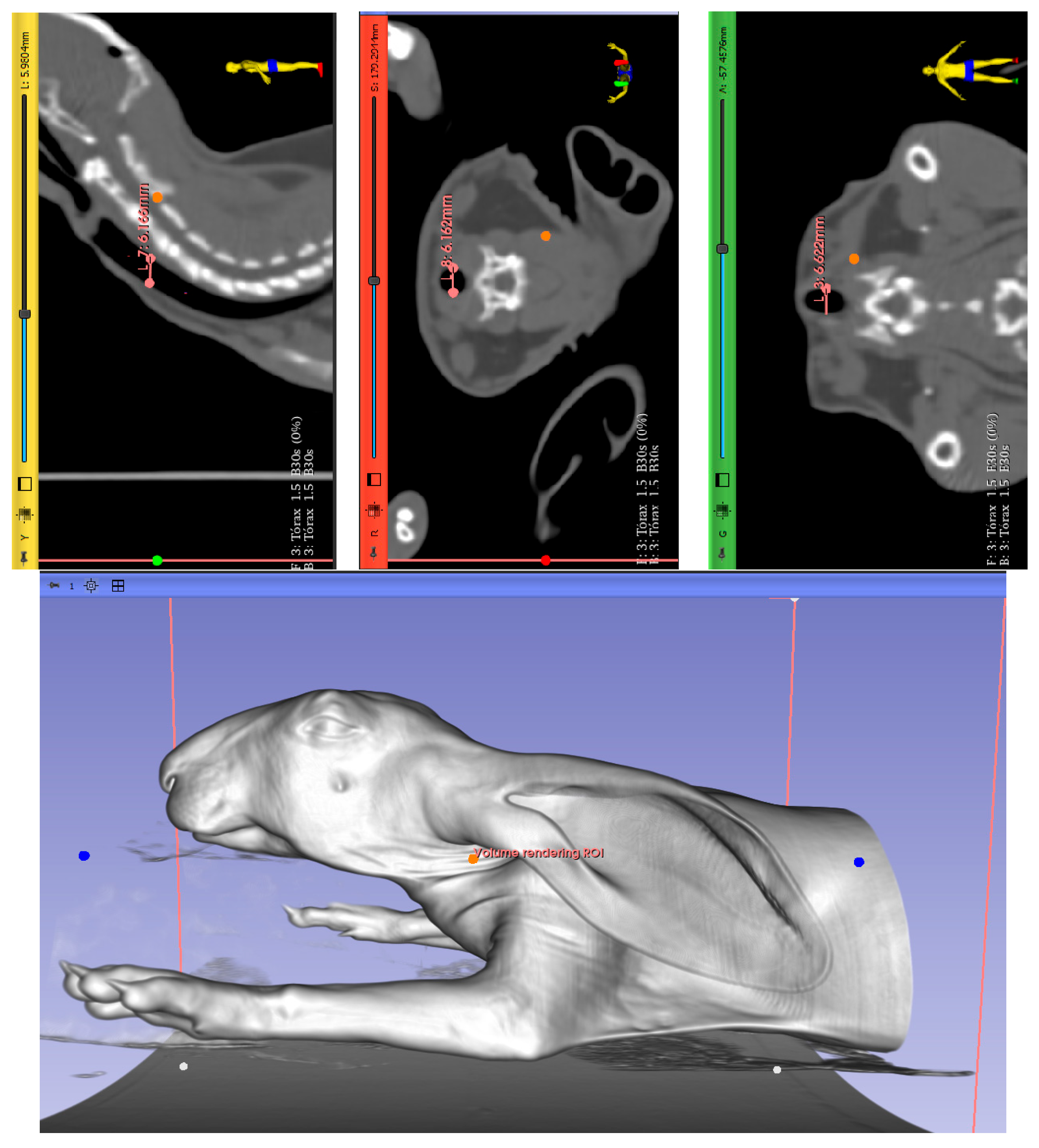 Polymers 17 02223 g002