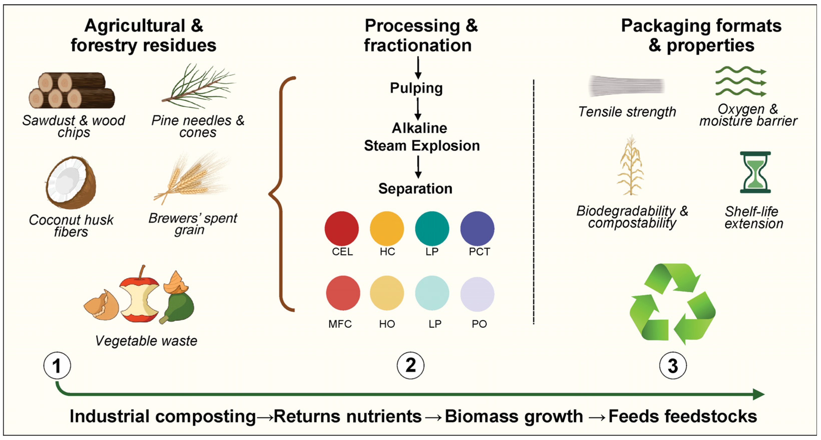 Polymers 17 02224 g001