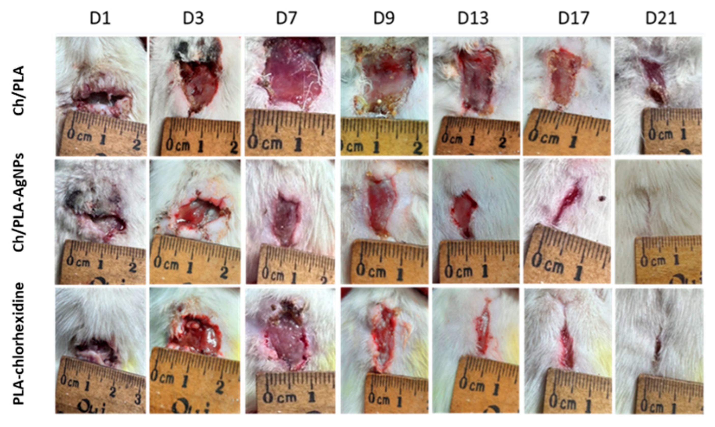 Polymers 17 02225 g003 Polymers 17 02225 g003