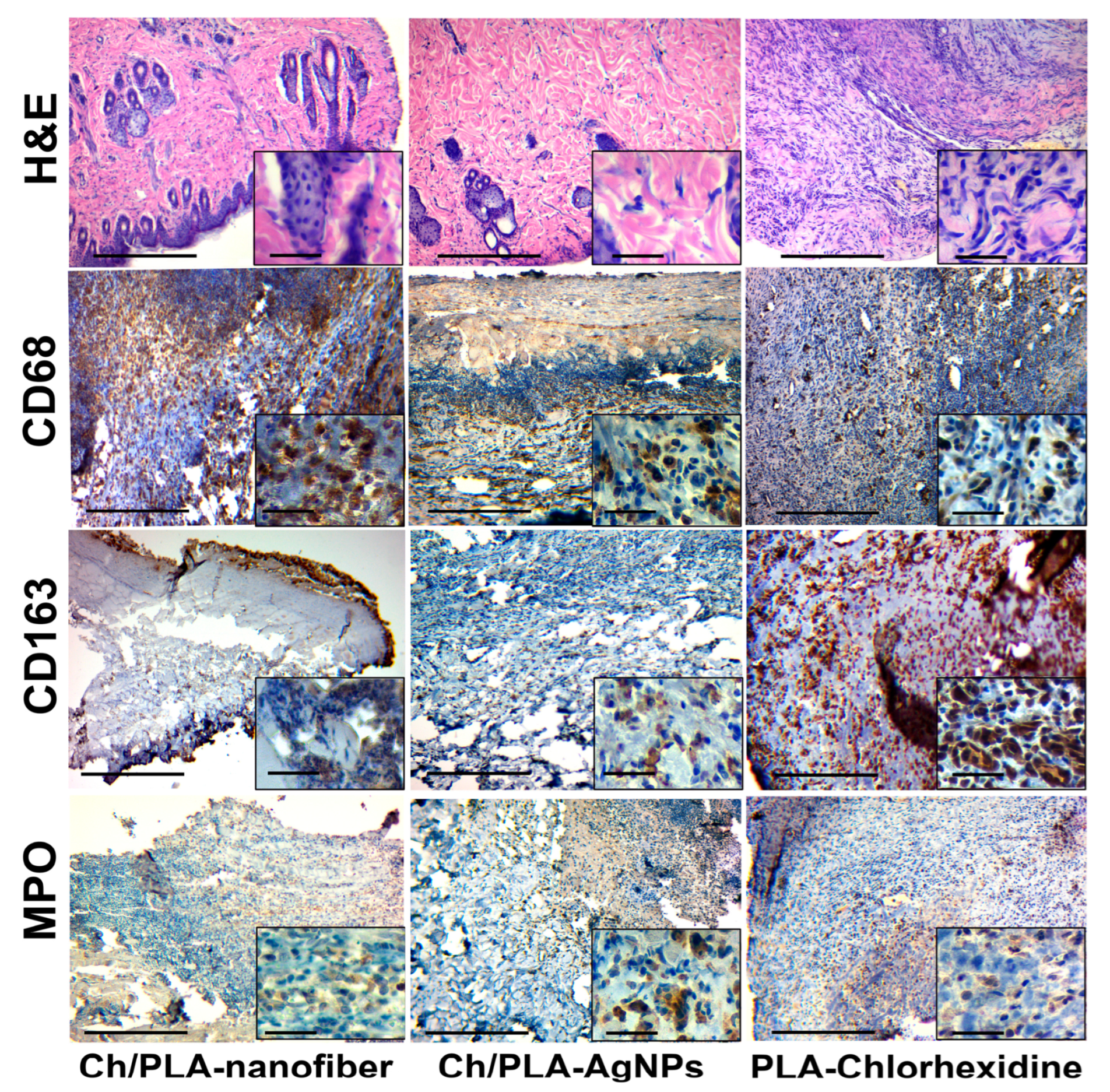 Polymers 17 02225 g006 Polymers 17 02225 g006